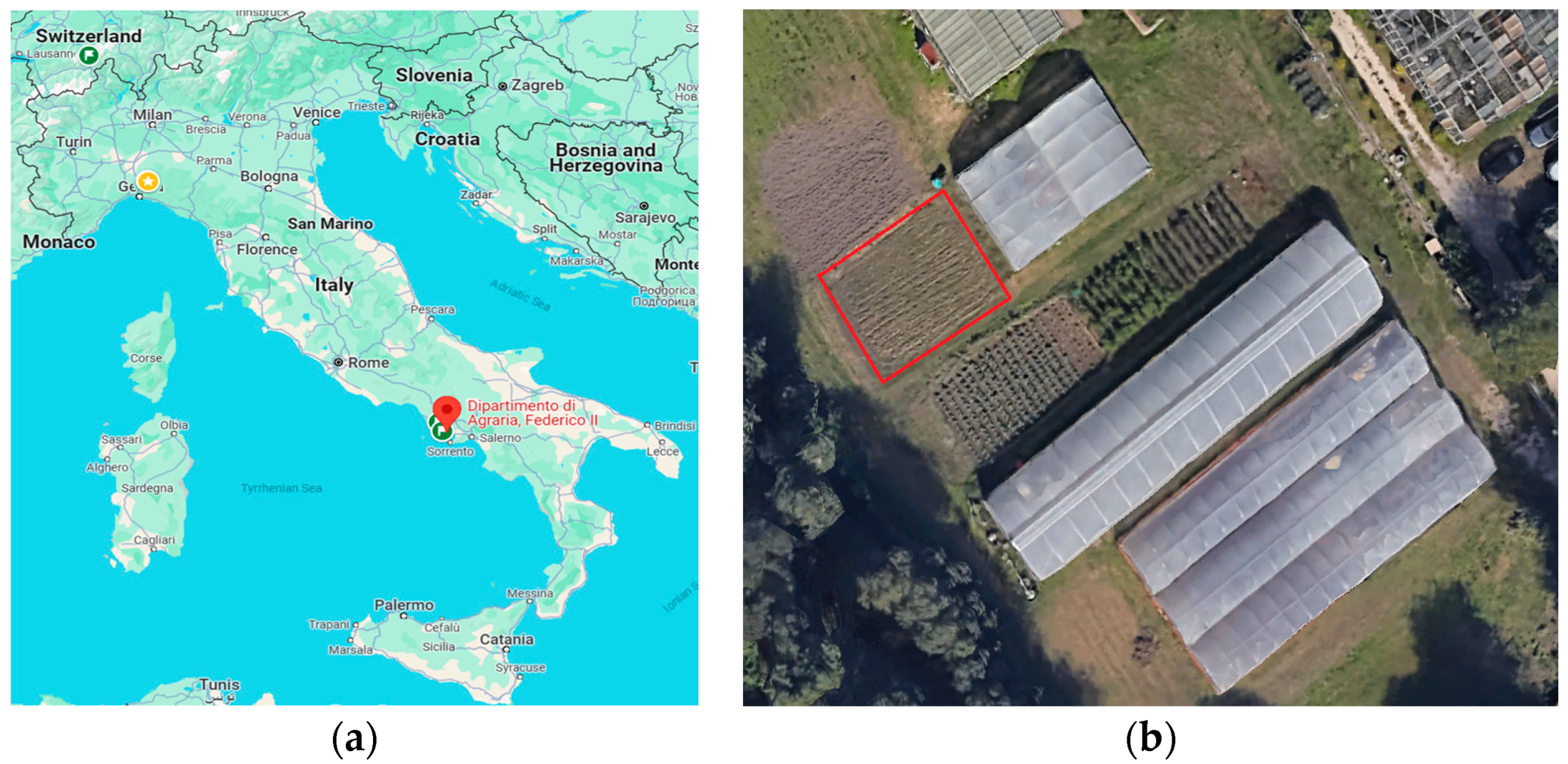 Agronomy 14 02052 g001