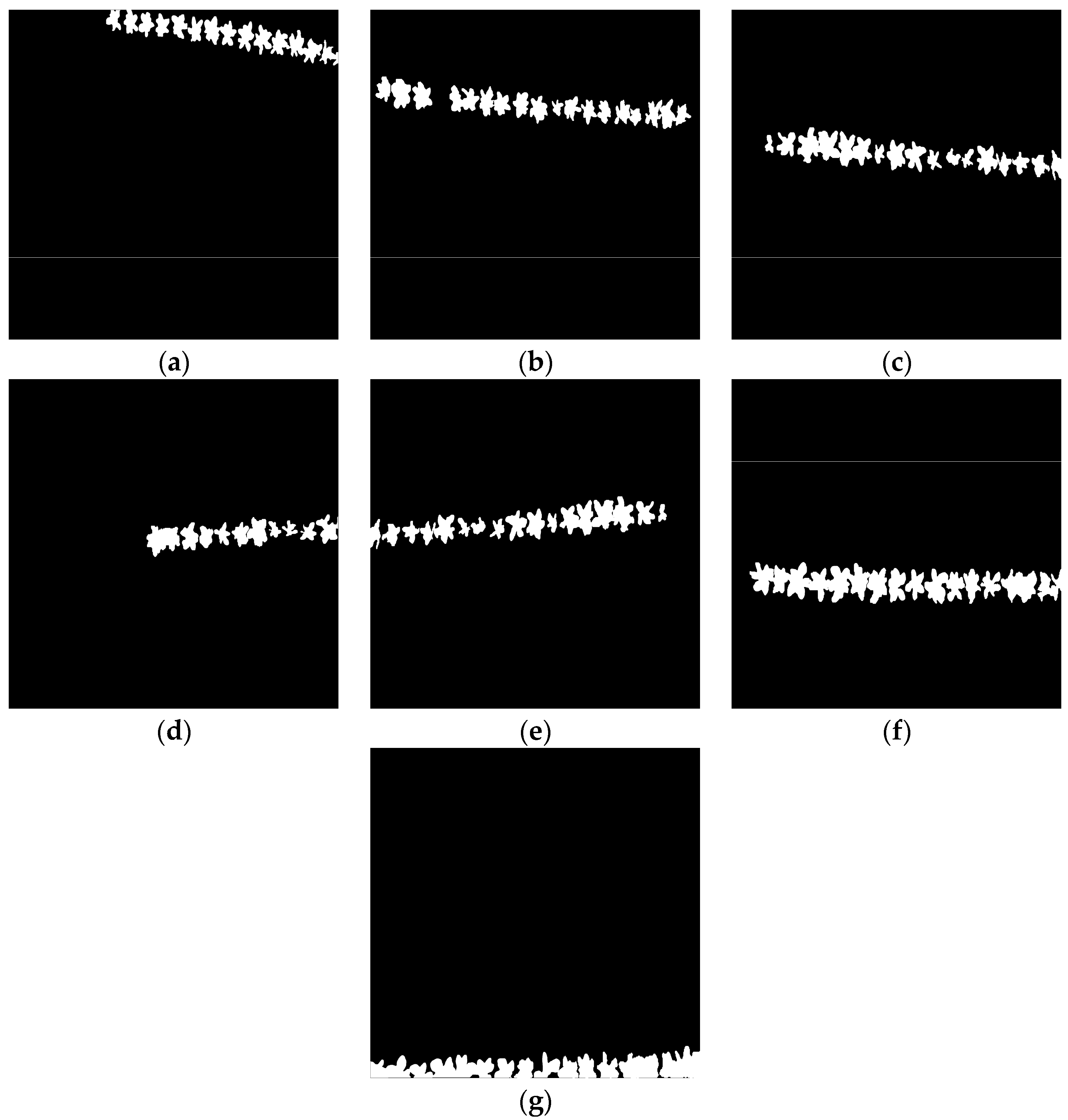 Agronomy 14 02052 g004