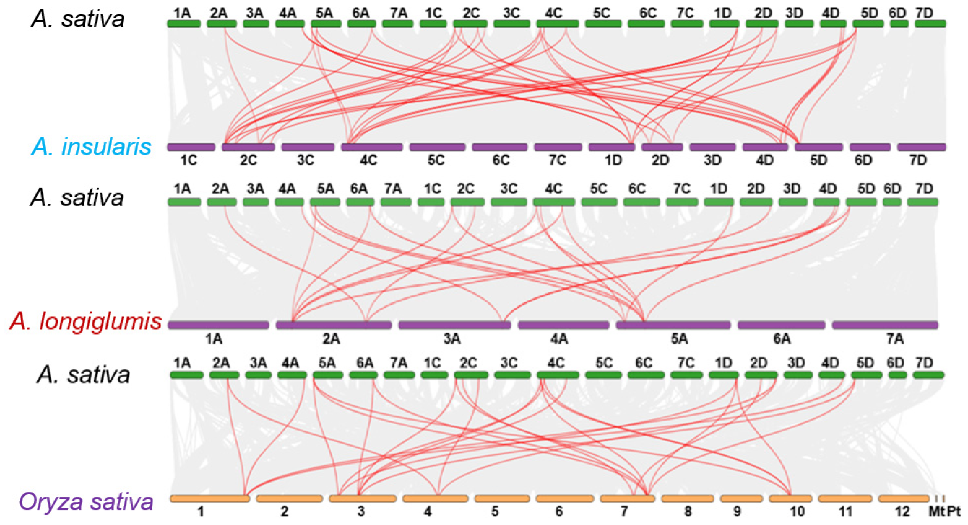 Agronomy 14 02053 g003