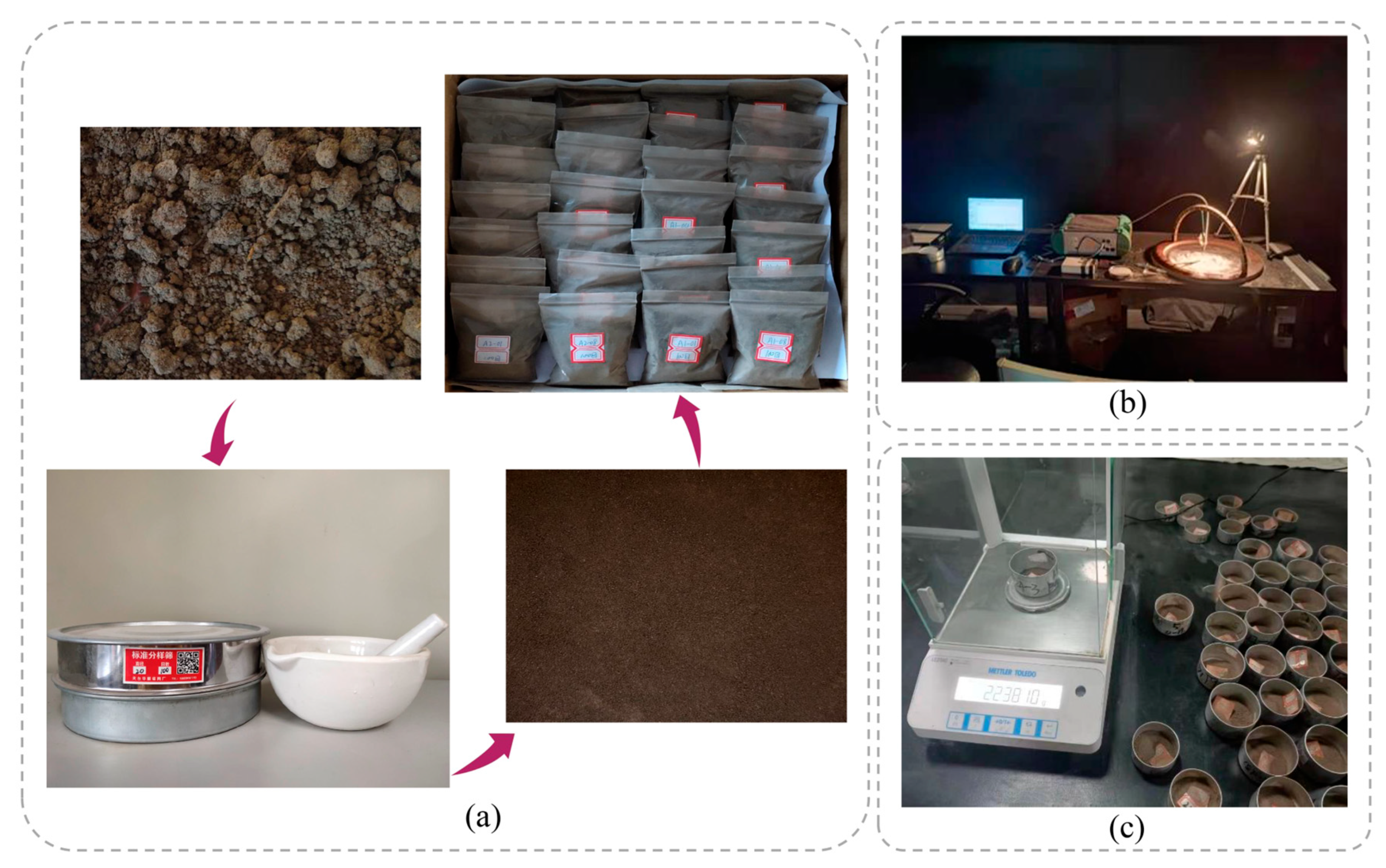 Agronomy 14 02054 g002