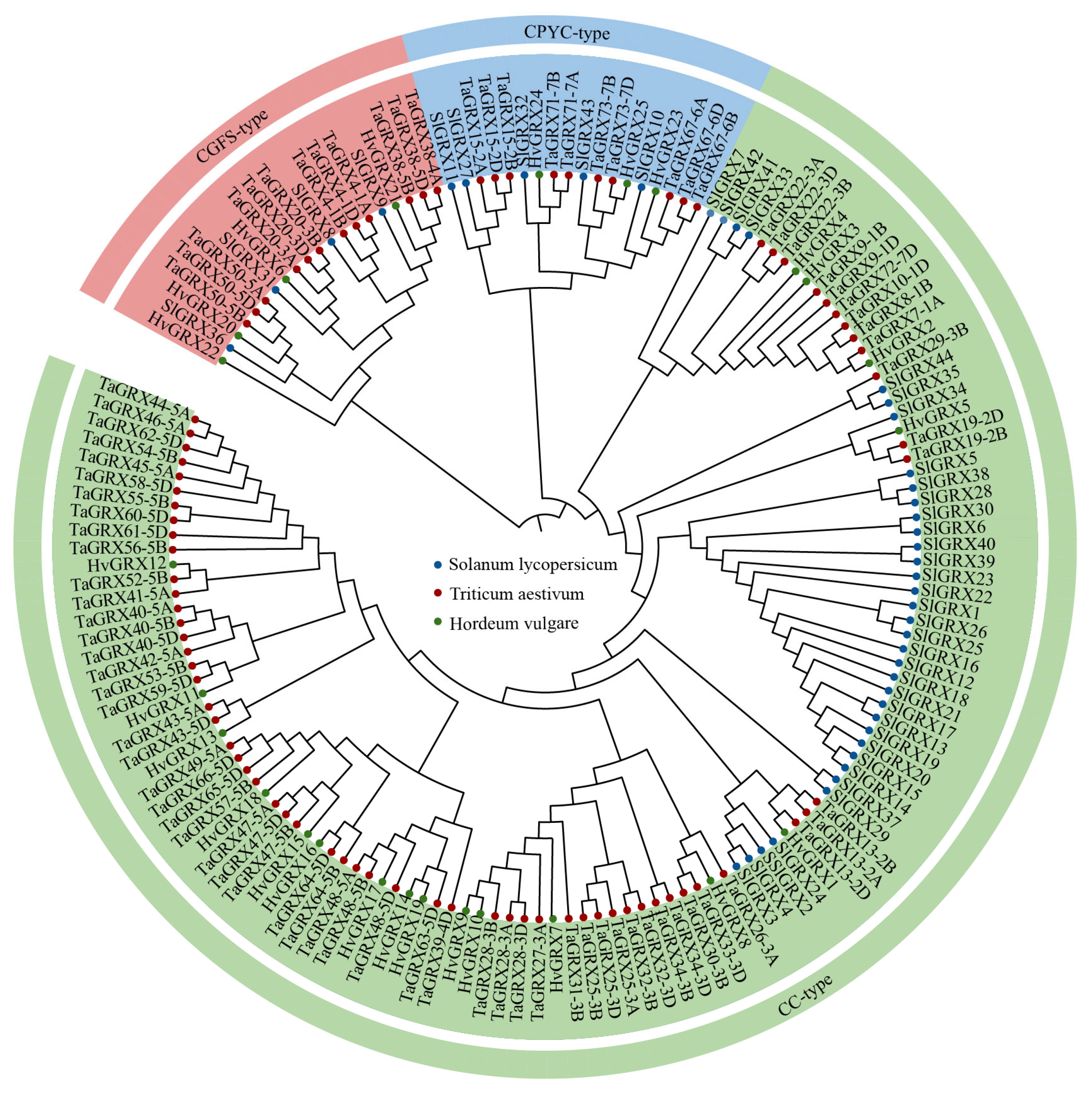 Agronomy 14 02057 g001