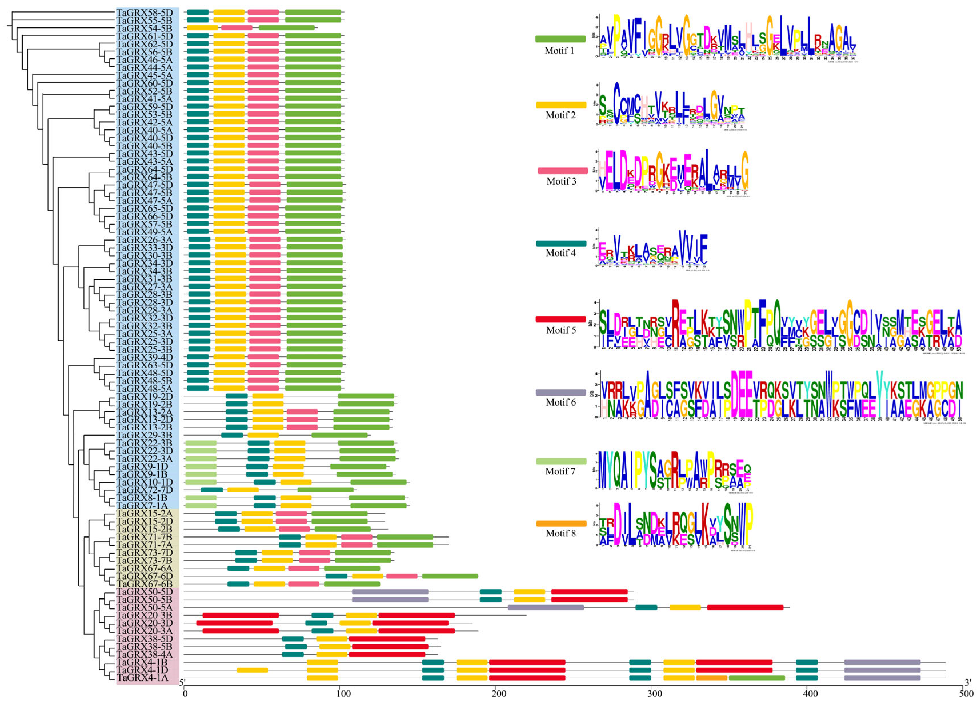 Agronomy 14 02057 g002