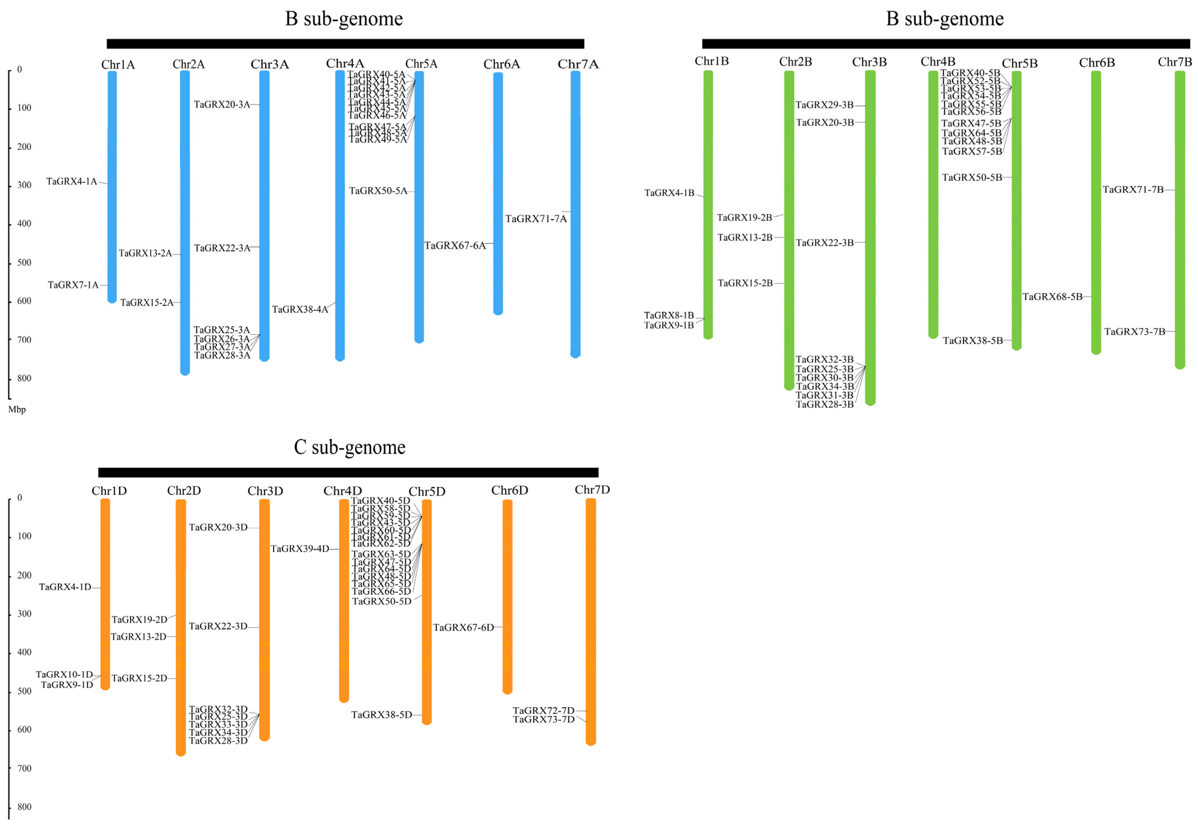 Agronomy 14 02057 g004