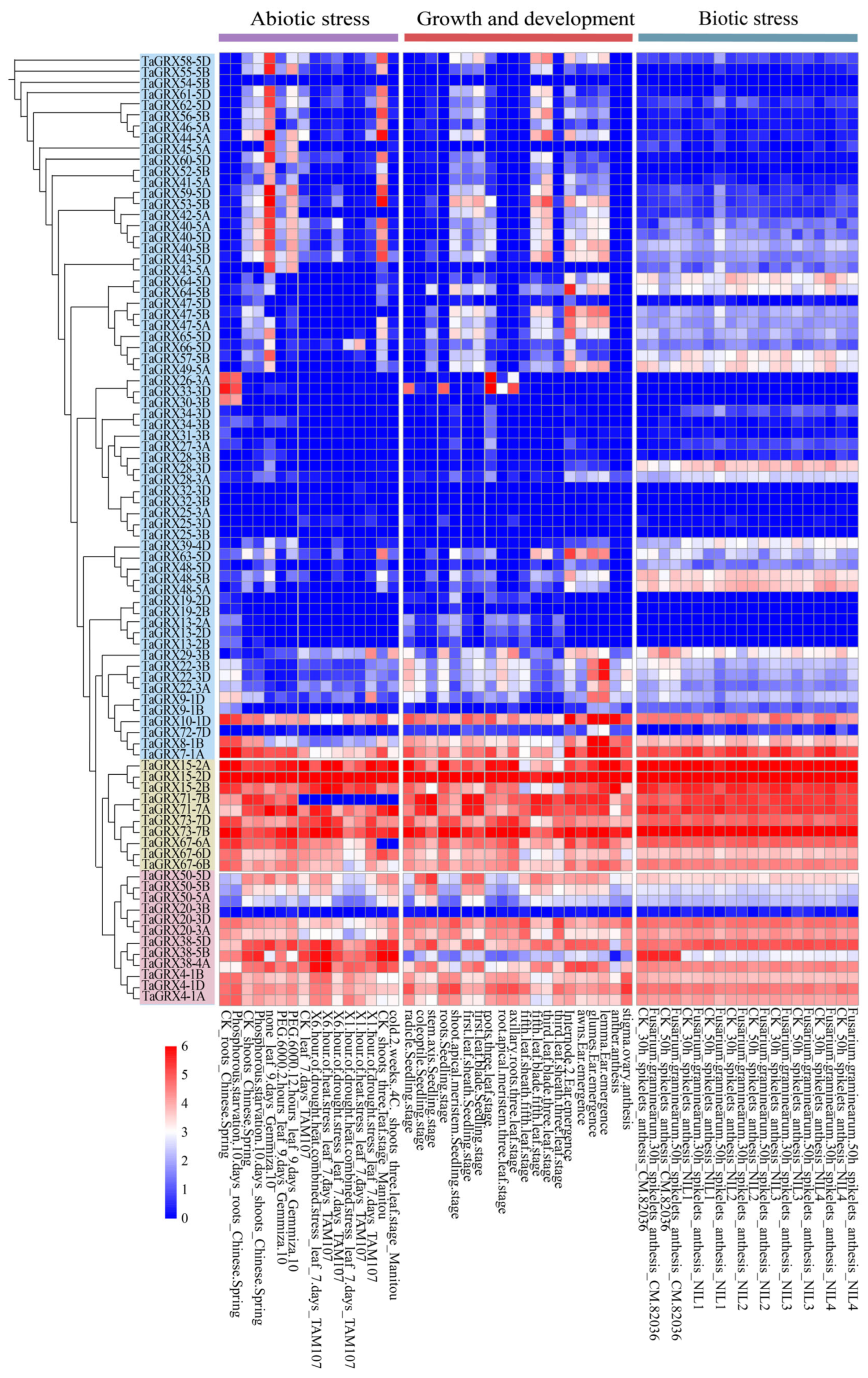 Agronomy 14 02057 g006