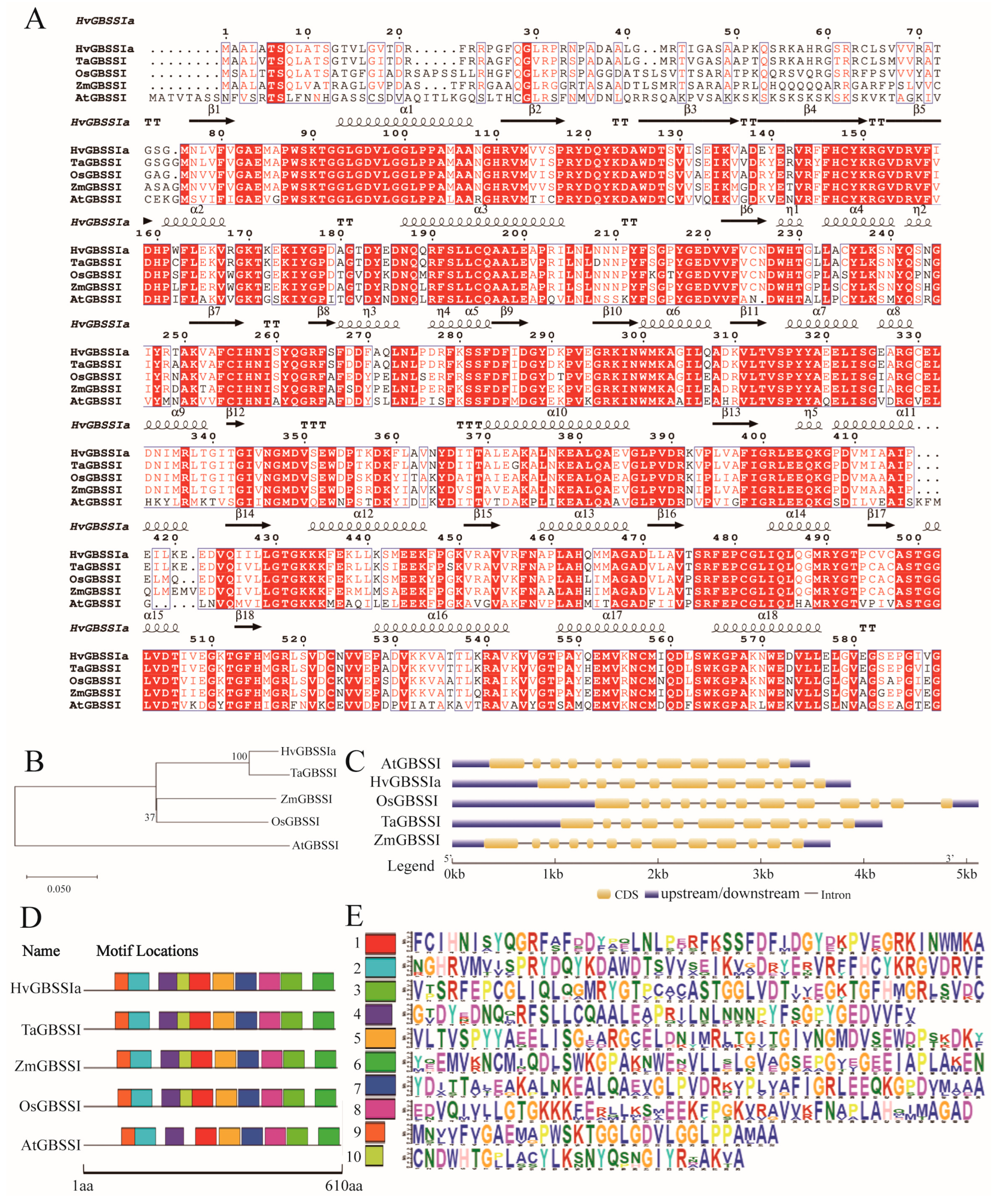 Agronomy 14 02058 g002