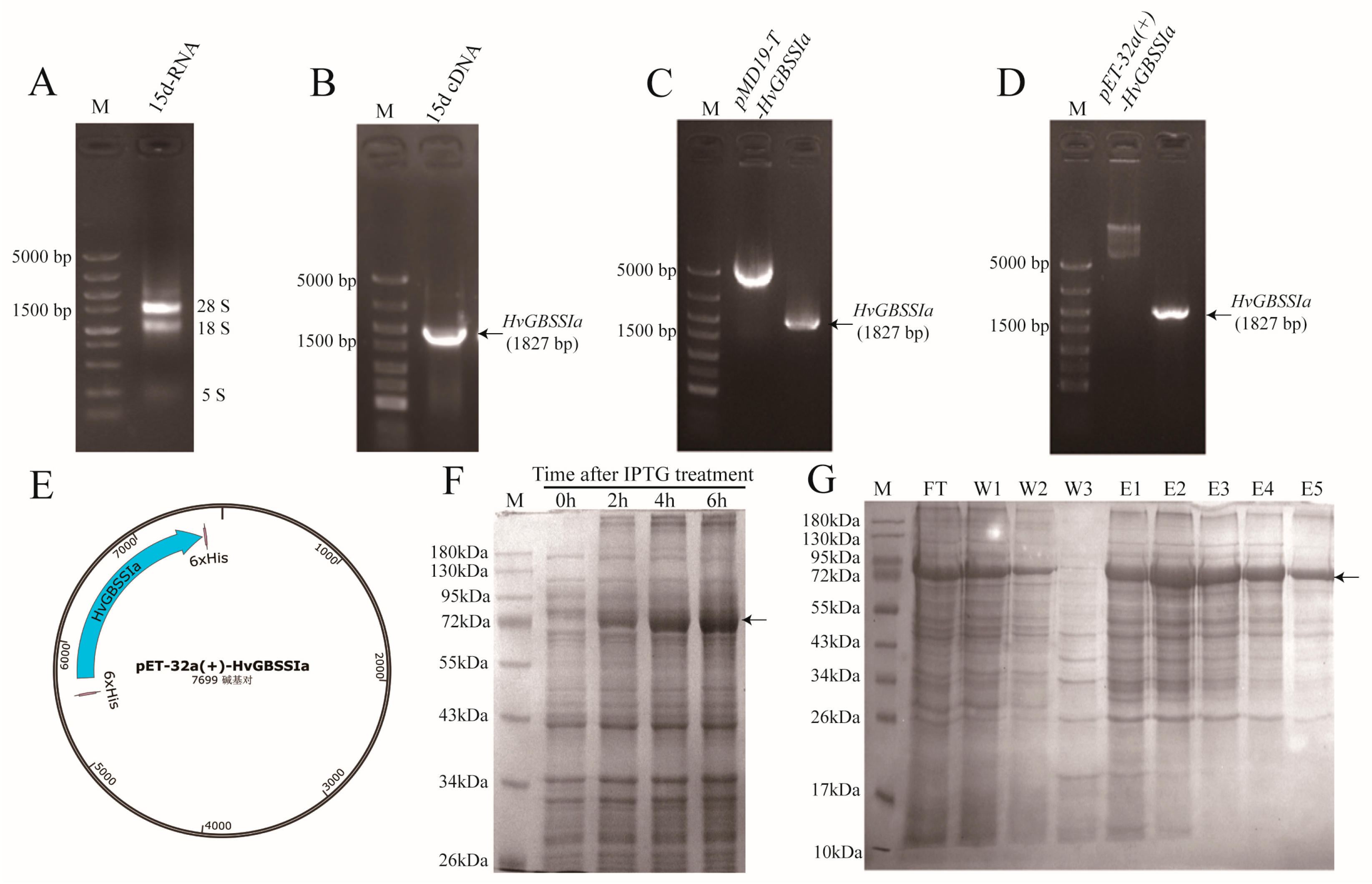 Agronomy 14 02058 g003
