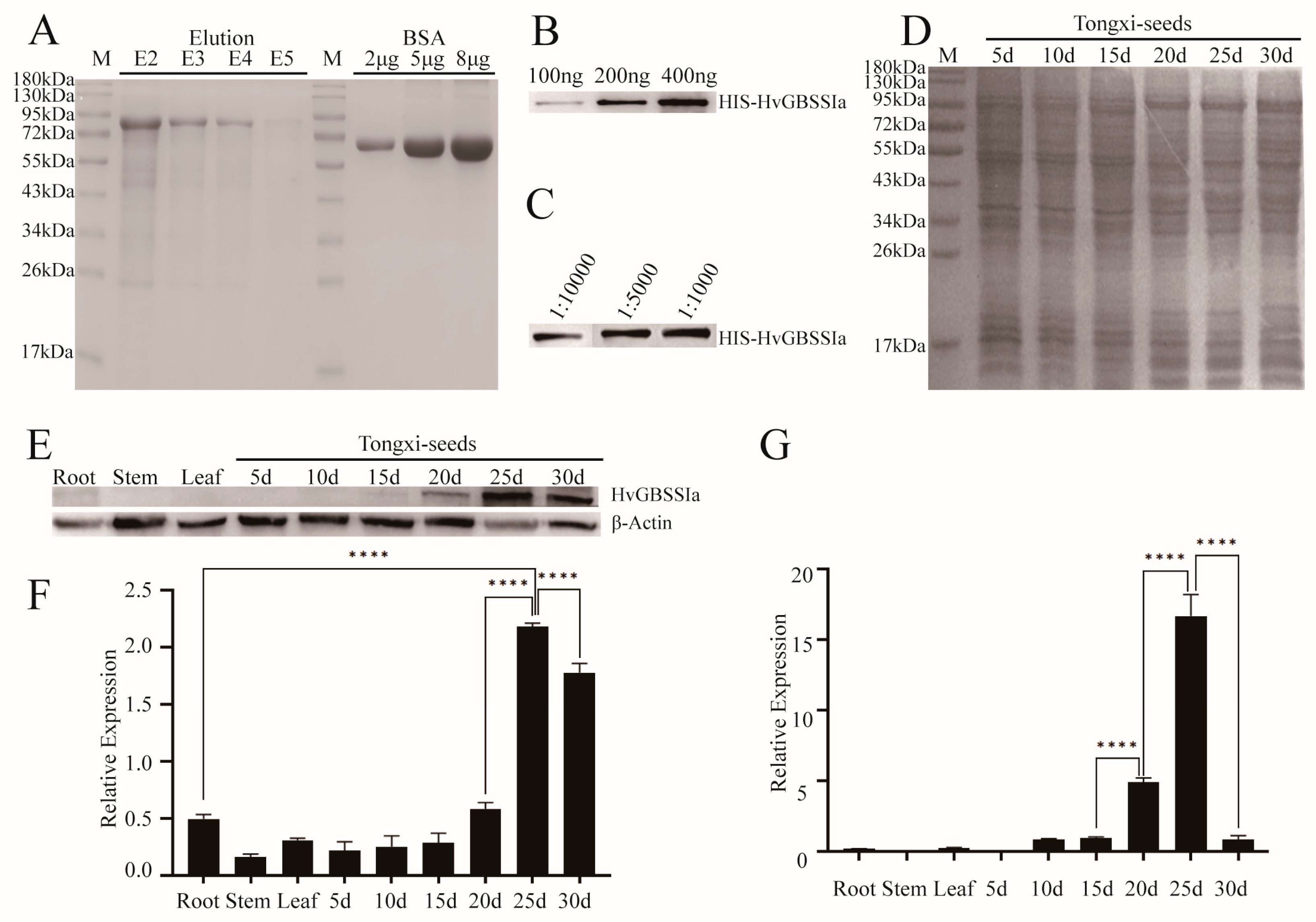 Agronomy 14 02058 g004