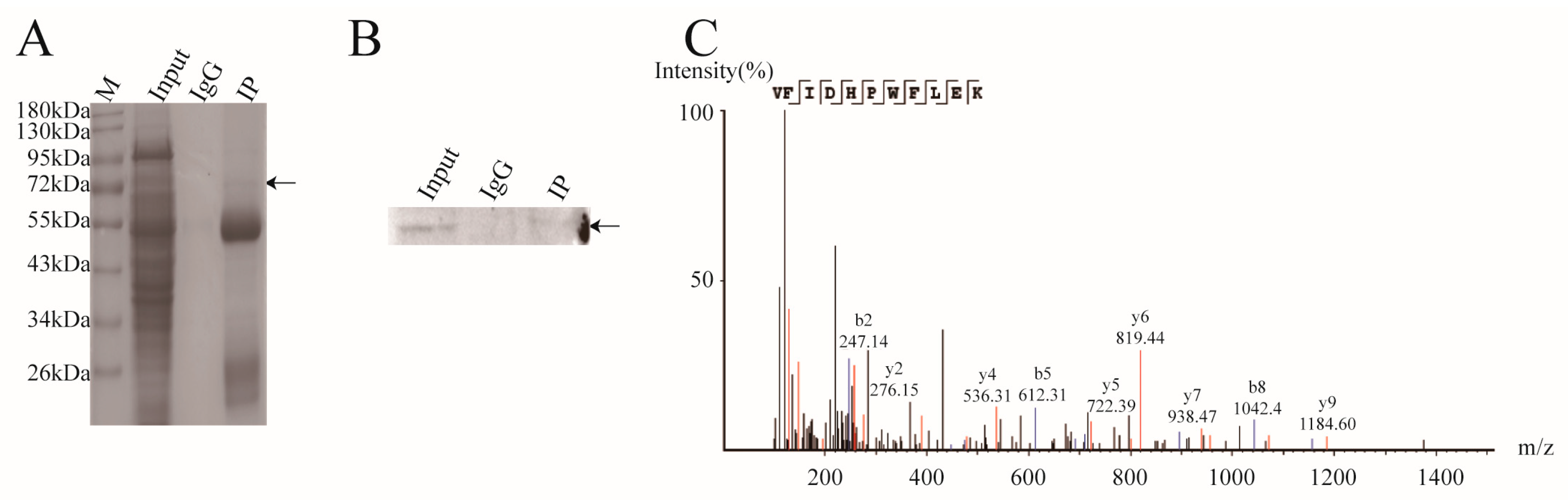 Agronomy 14 02058 g005