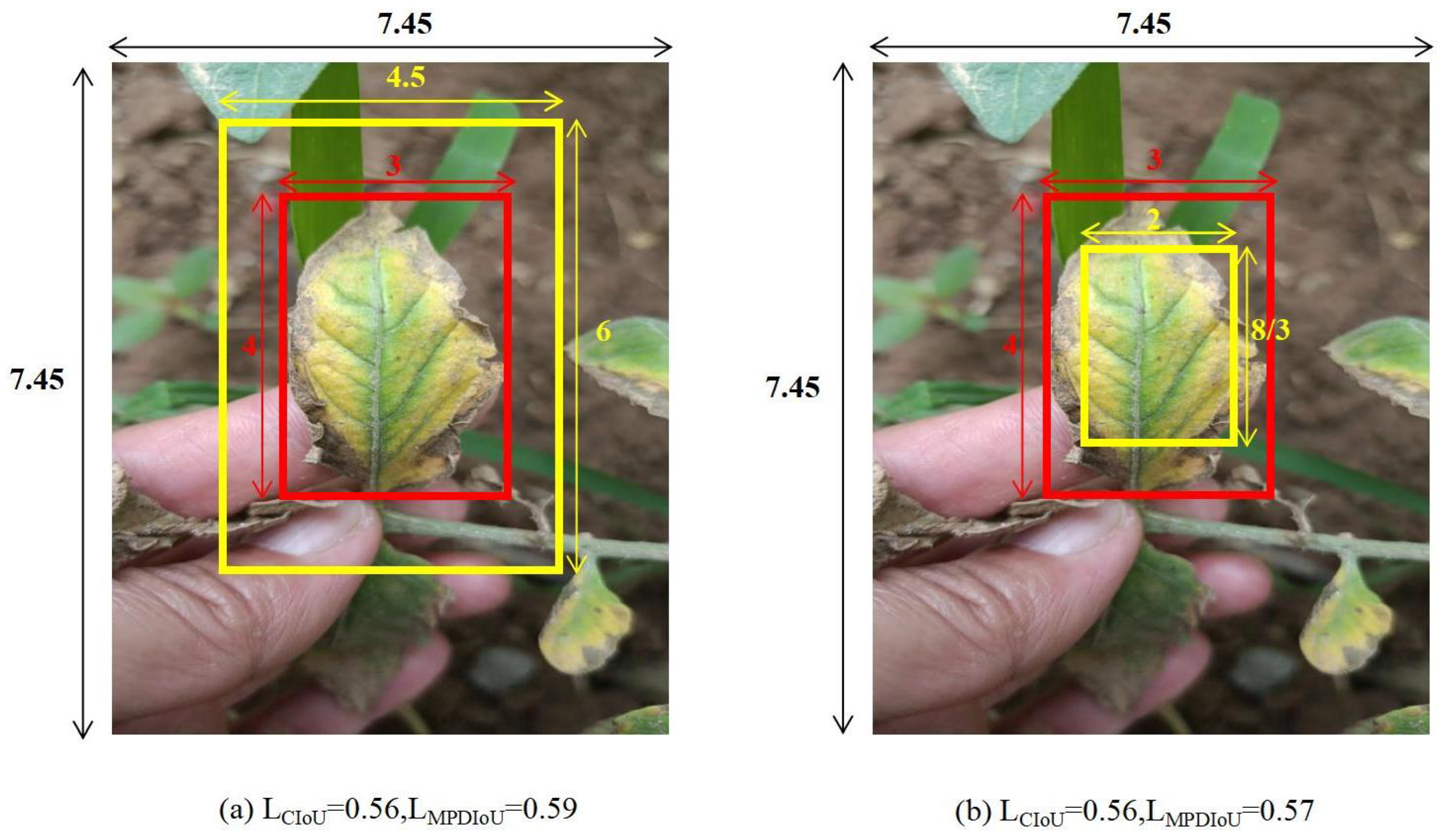 Agronomy 14 02069 g007