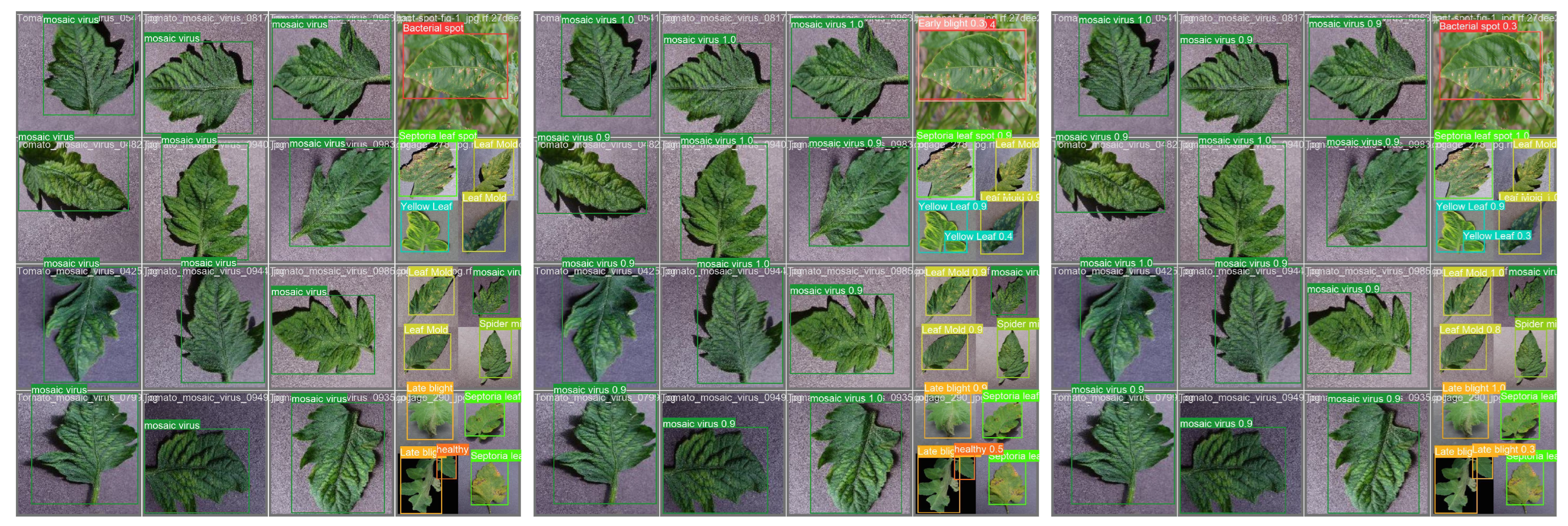 Agronomy 14 02069 g012