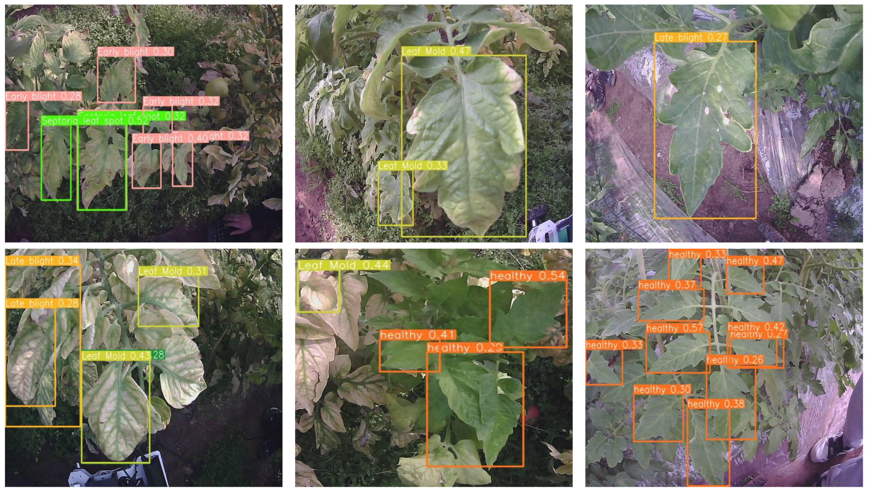 Agronomy 14 02069 g014