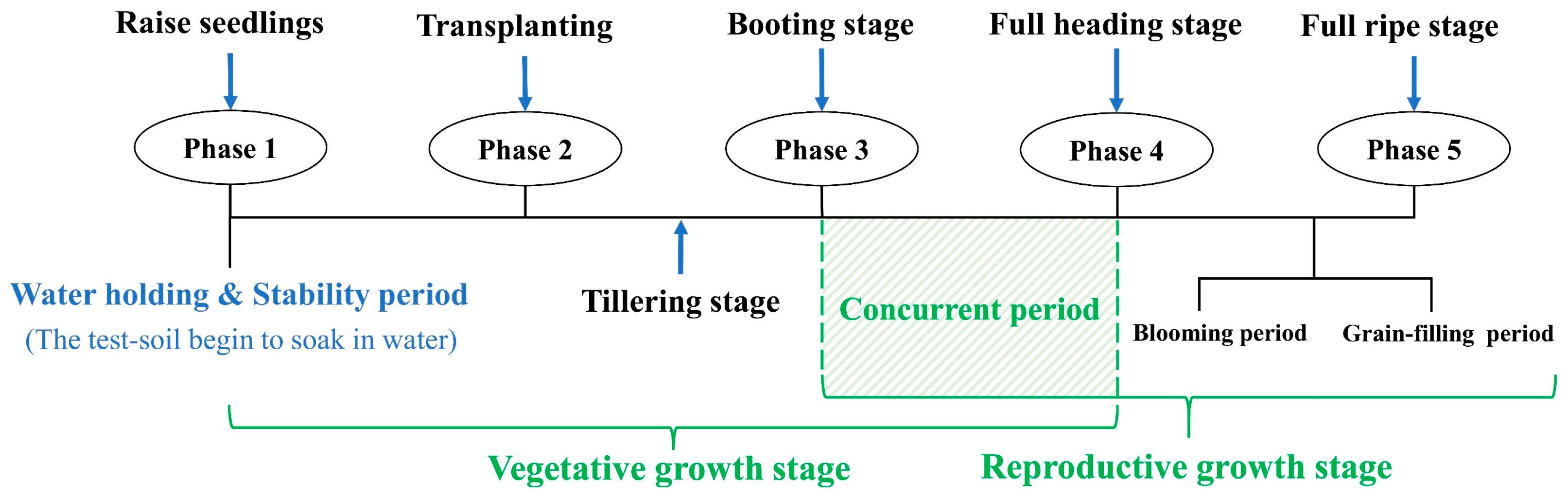 Agronomy 14 02076 g002