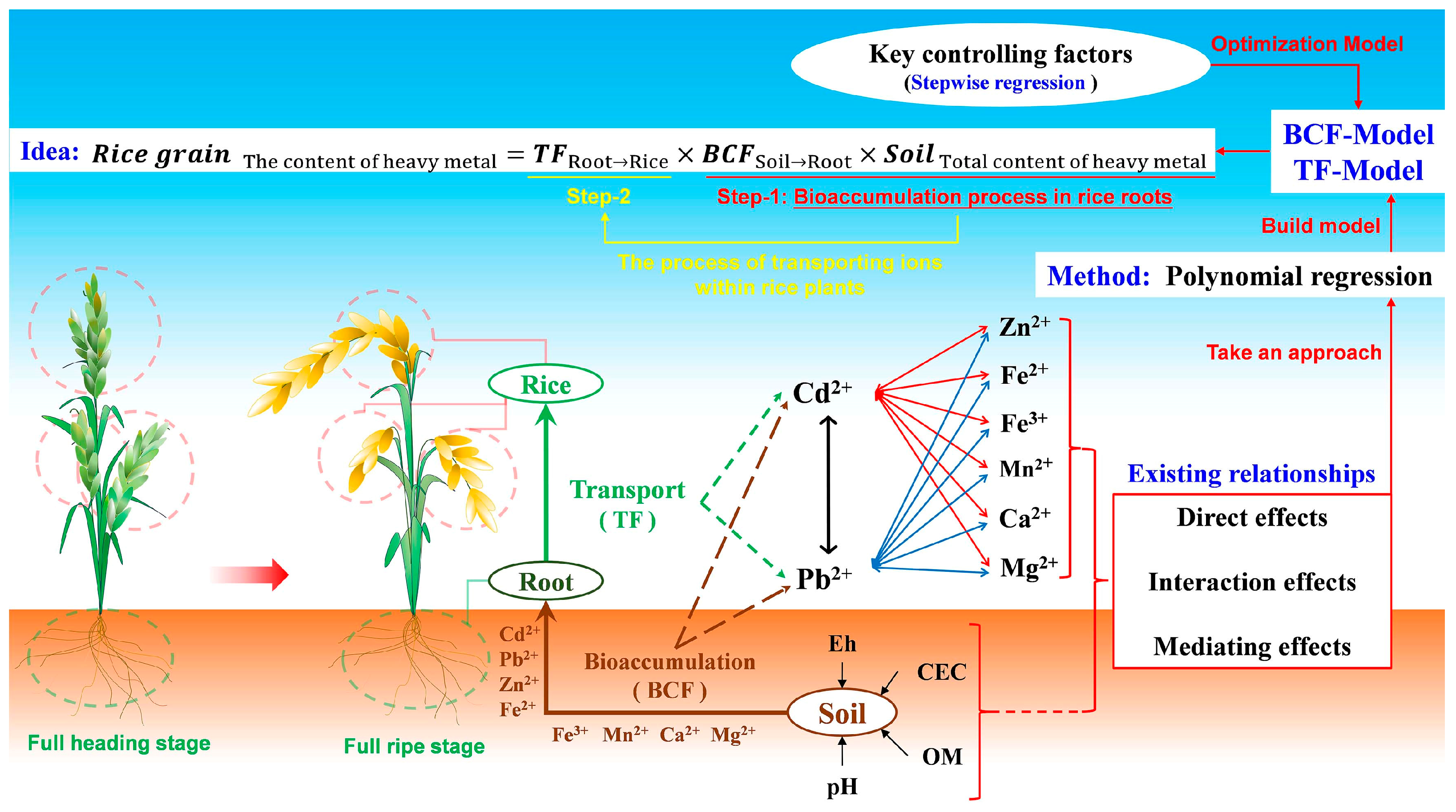 Agronomy 14 02076 g003