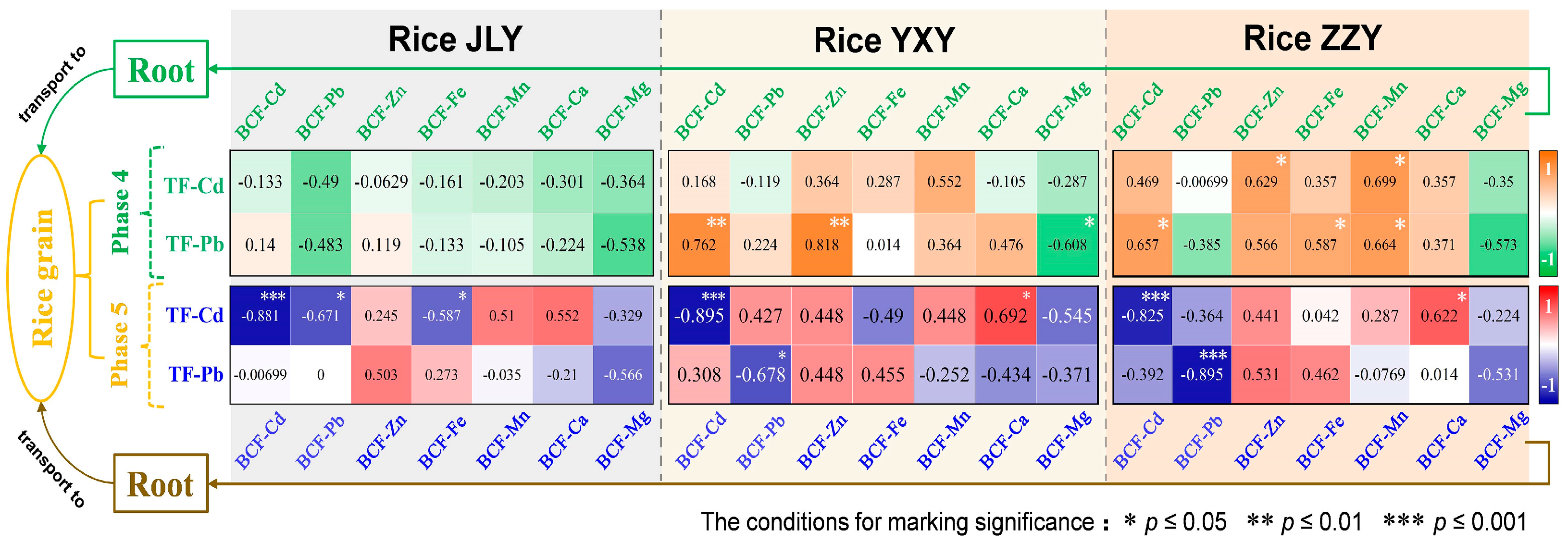 Agronomy 14 02076 g007