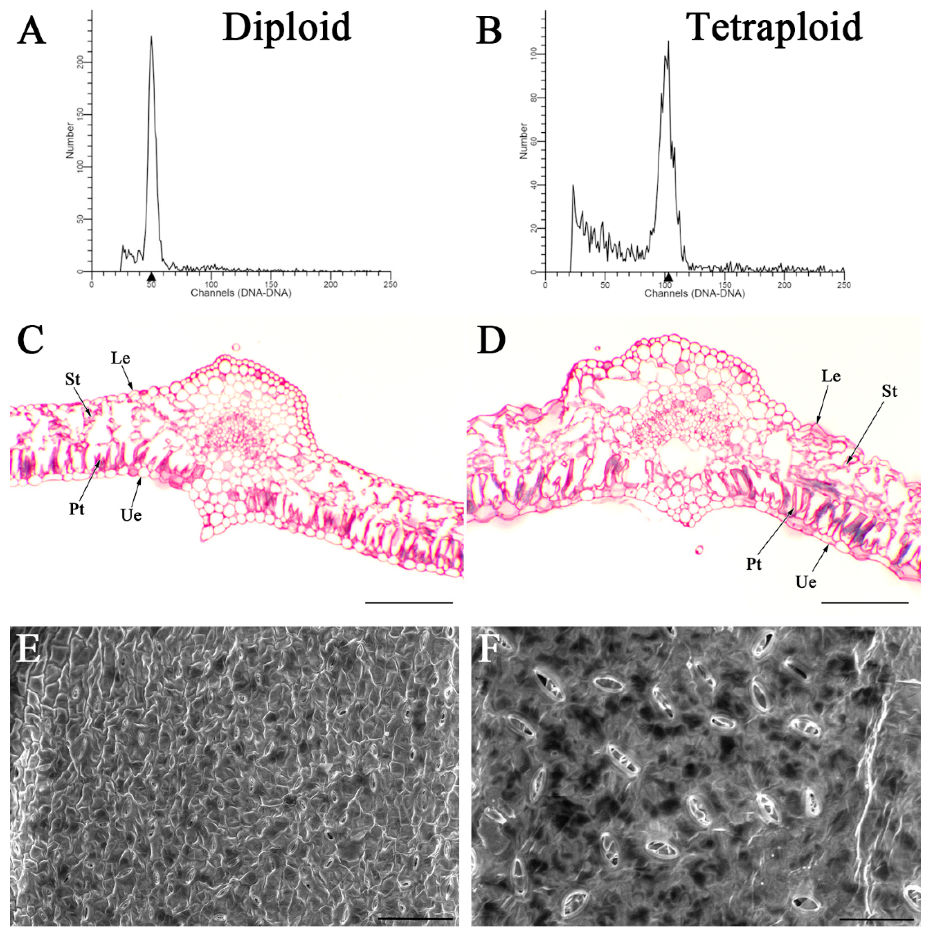 Agronomy 14 02090 g001