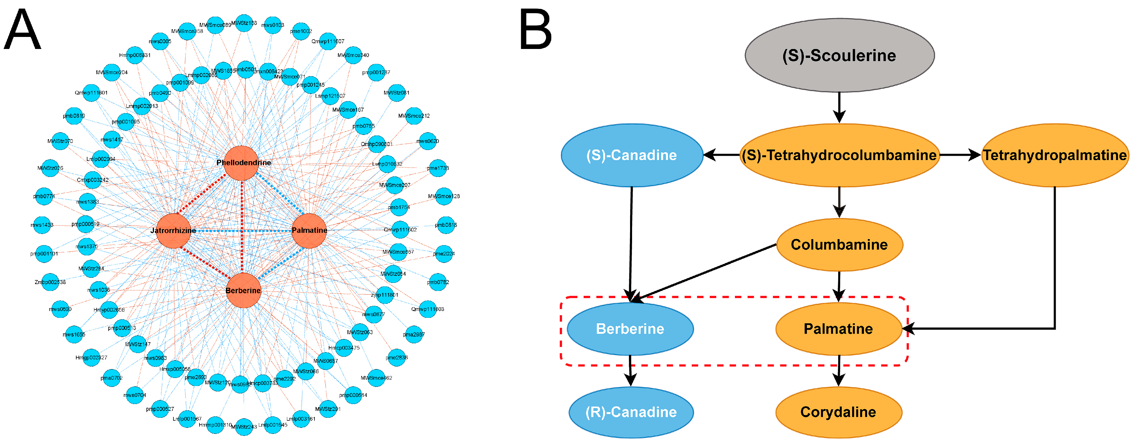 Agronomy 14 02090 g007
