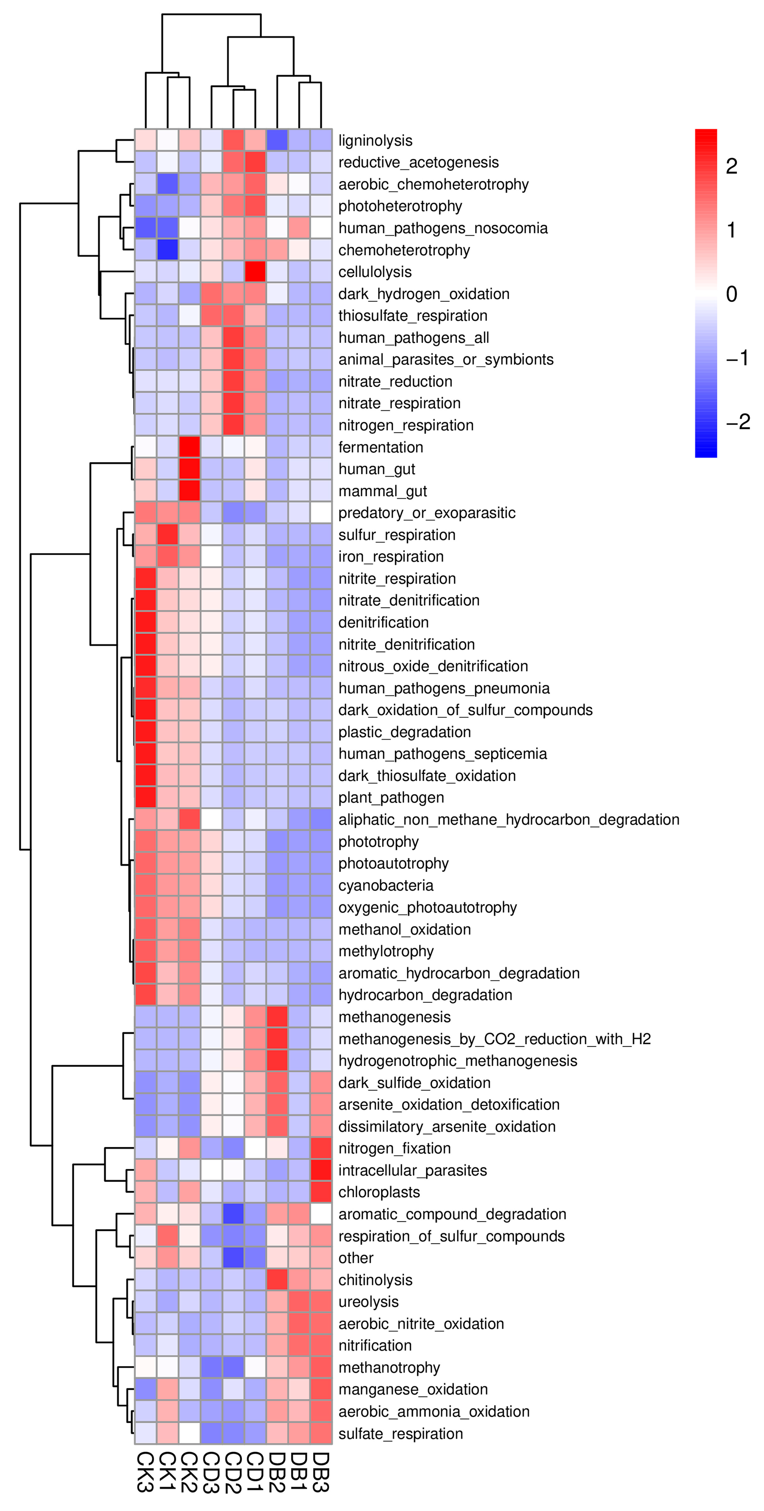Agronomy 14 02091 g005