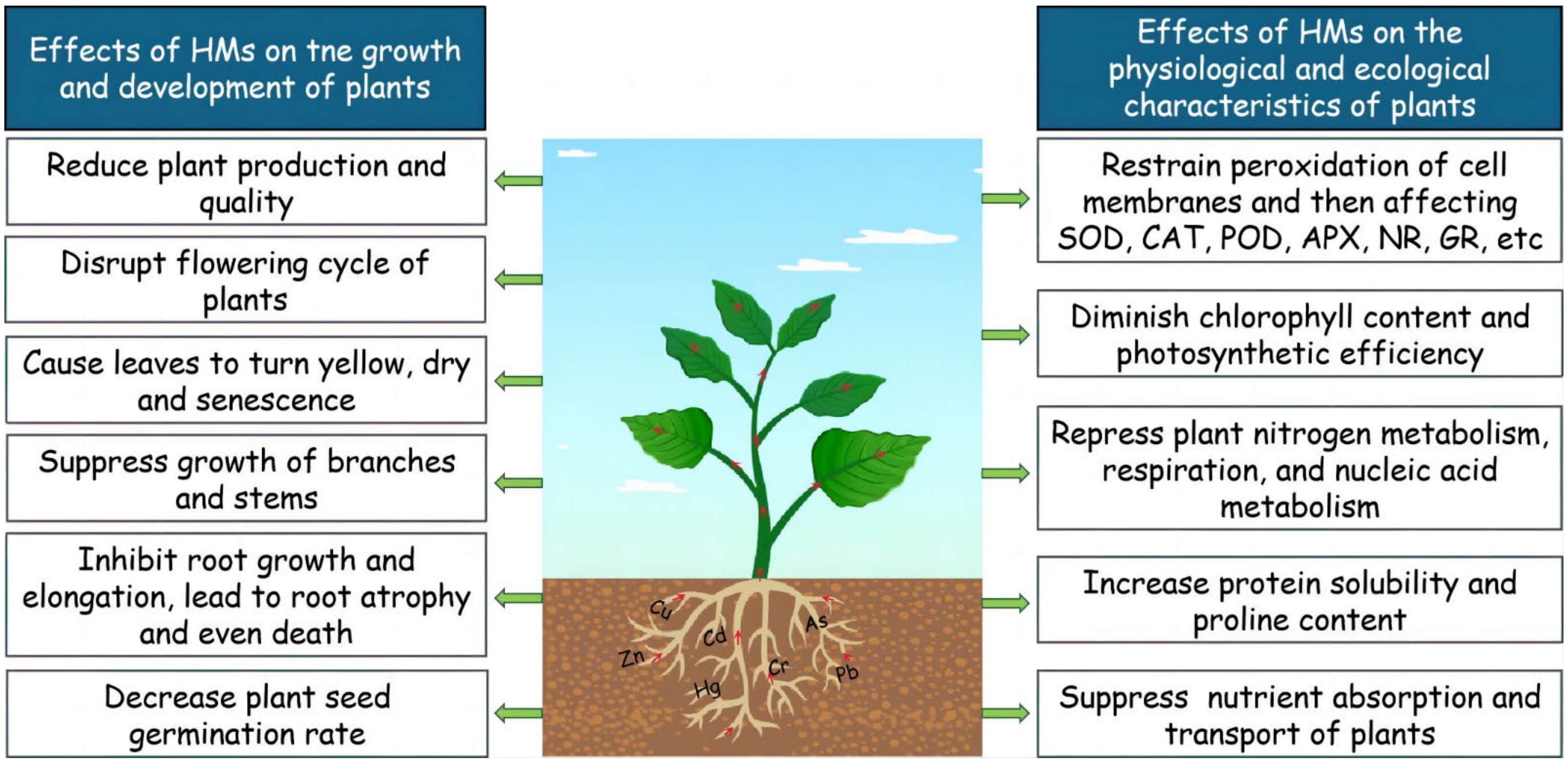Agronomy 14 02094 g001
