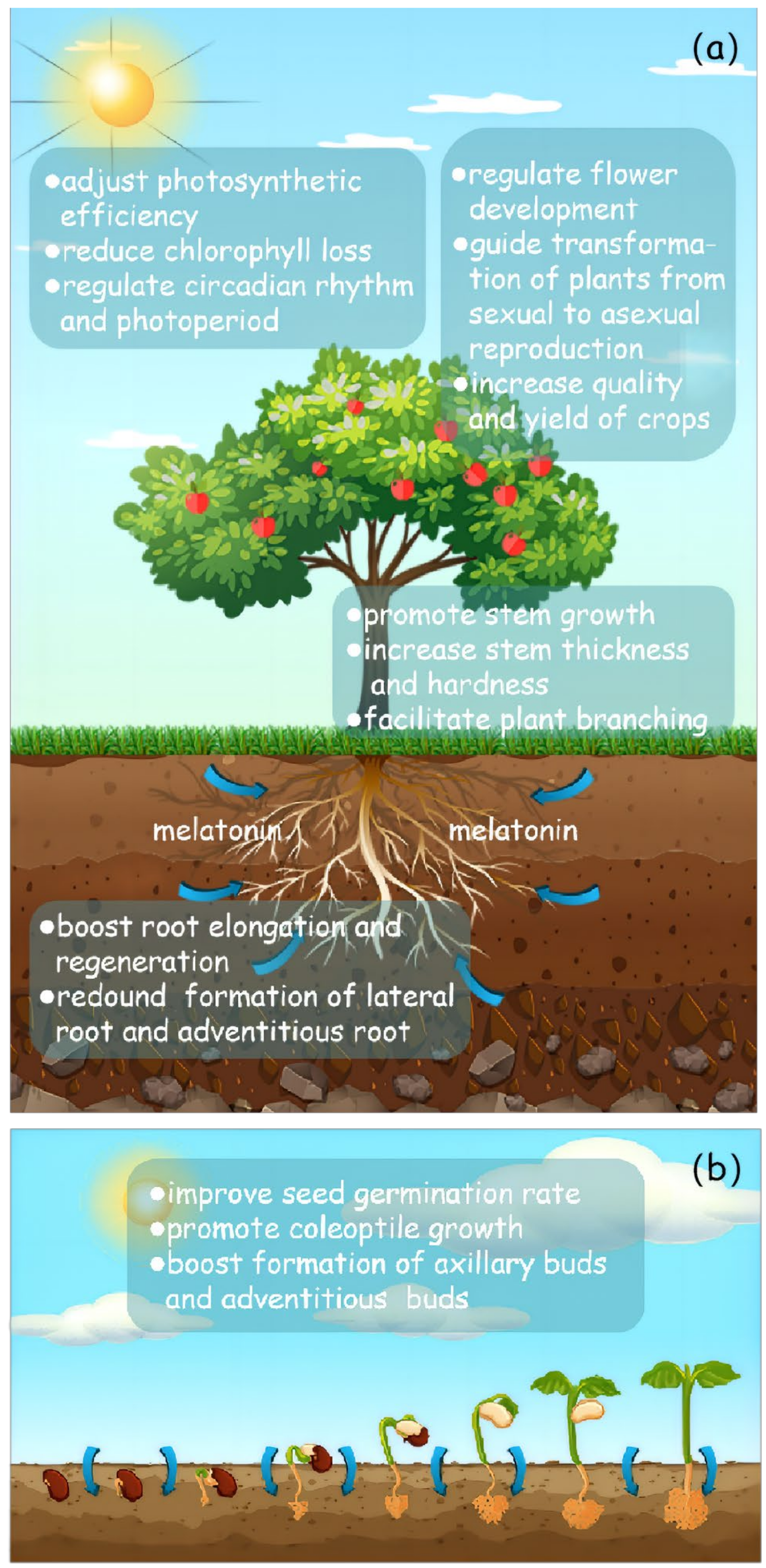 Agronomy 14 02094 g002
