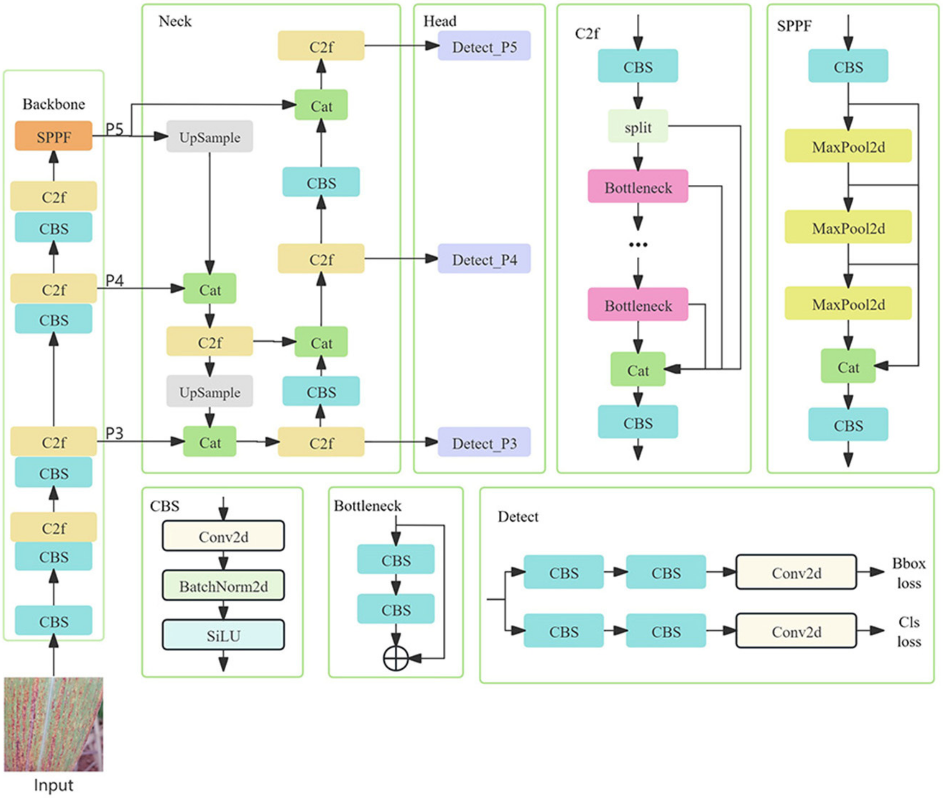 Agronomy 14 02099 g005