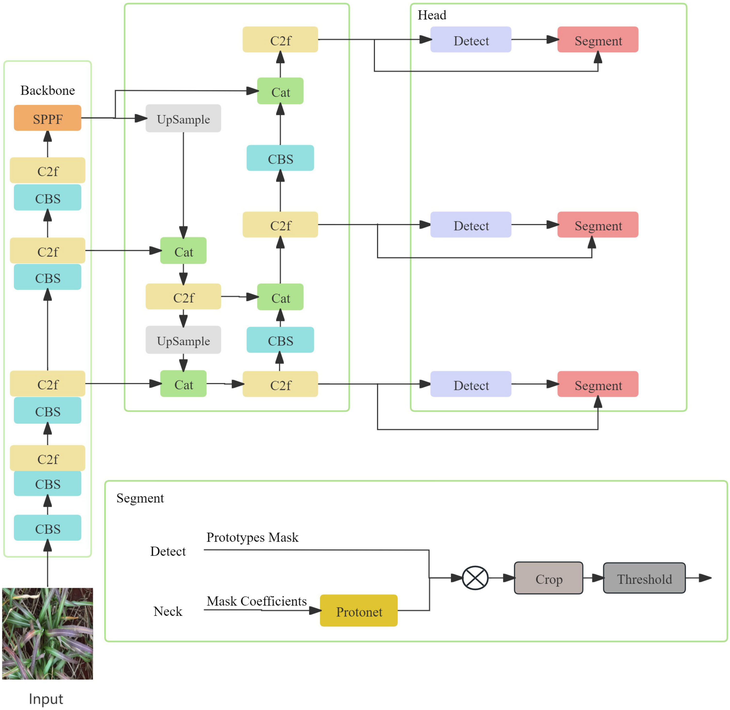 Agronomy 14 02099 g006