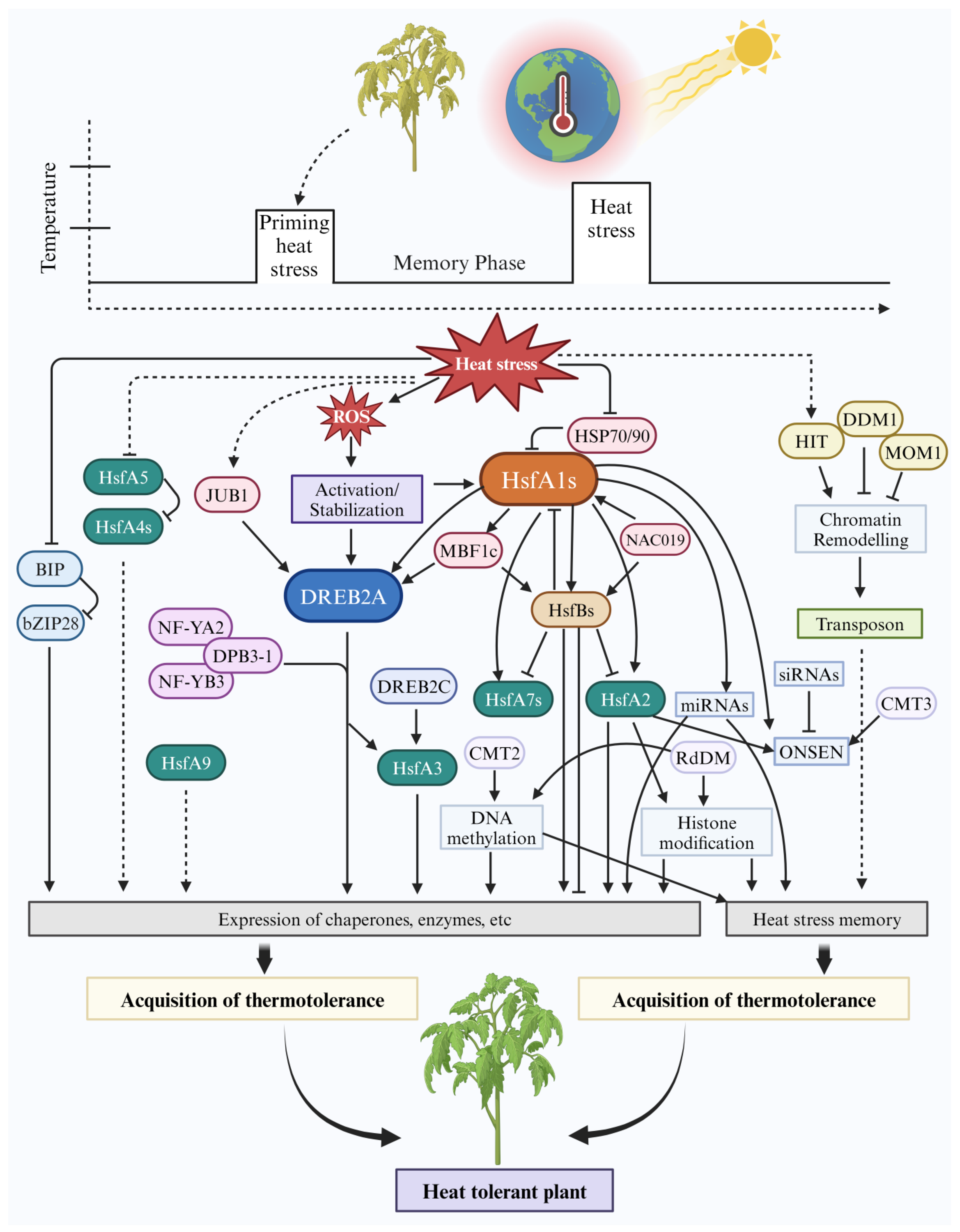 Agronomy 14 02105 g001