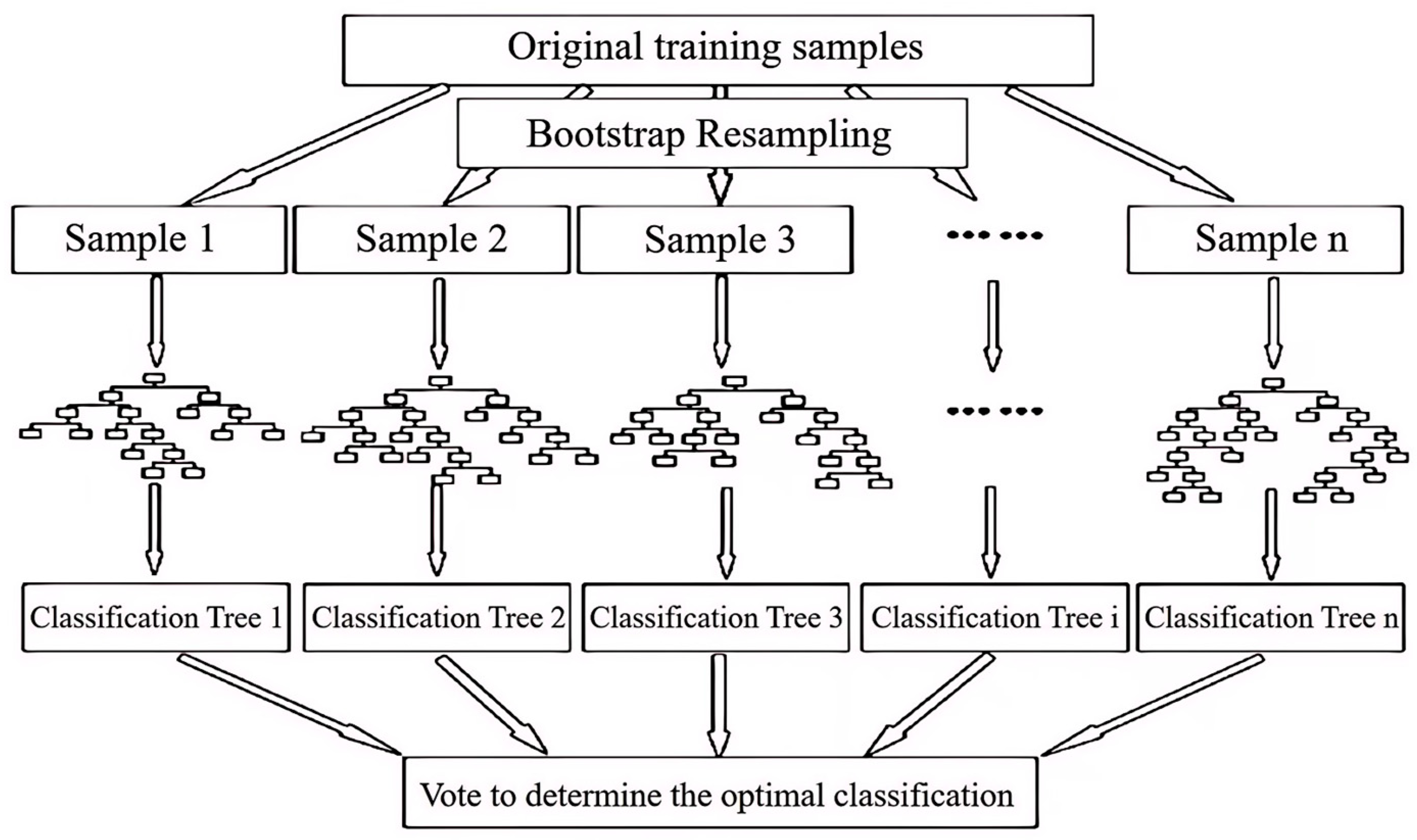 Agronomy 14 02106 g004