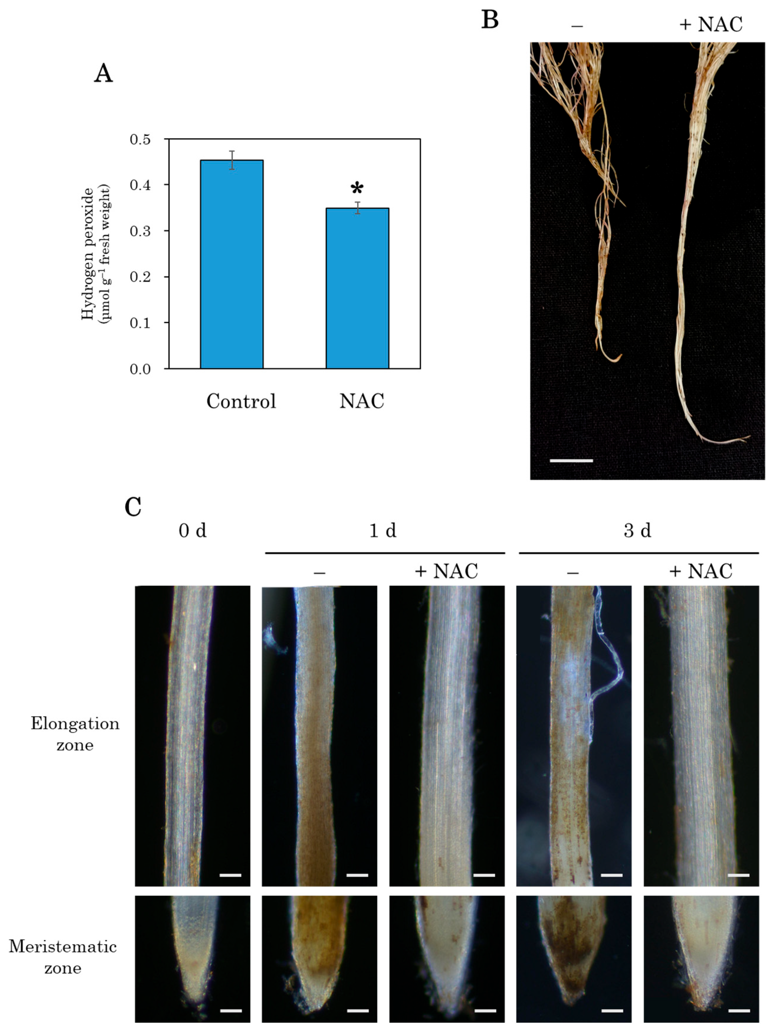 Agronomy 14 02112 g004 Agronomy 14 02112 g004