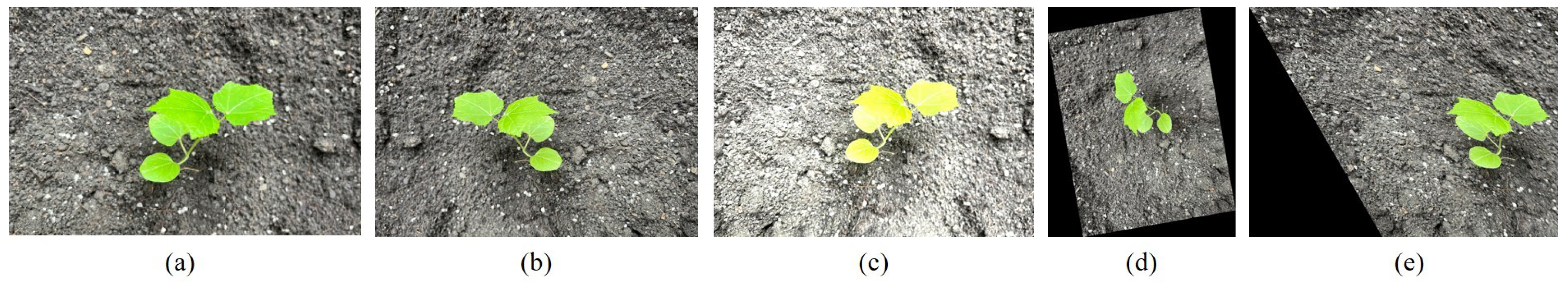 Agronomy 14 02121 g002