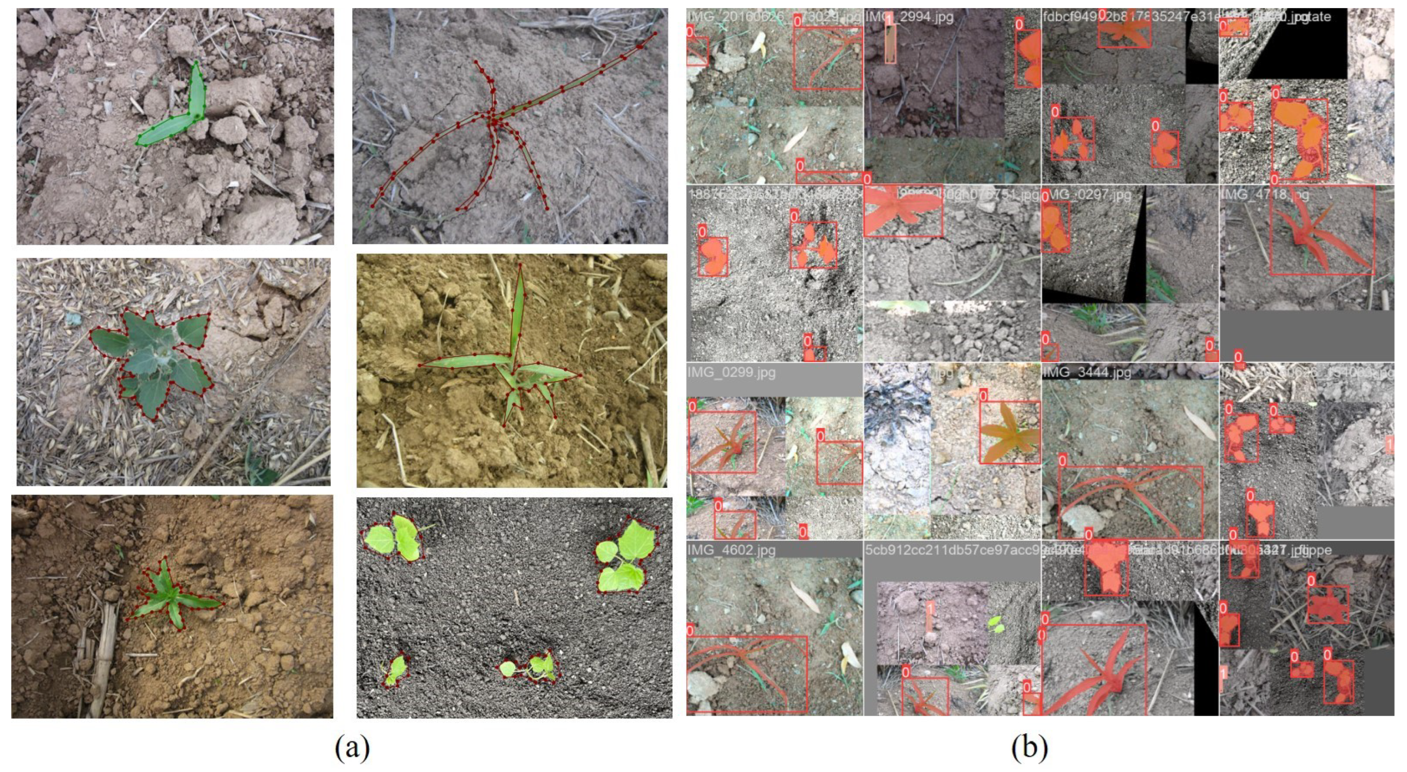 Agronomy 14 02121 g003