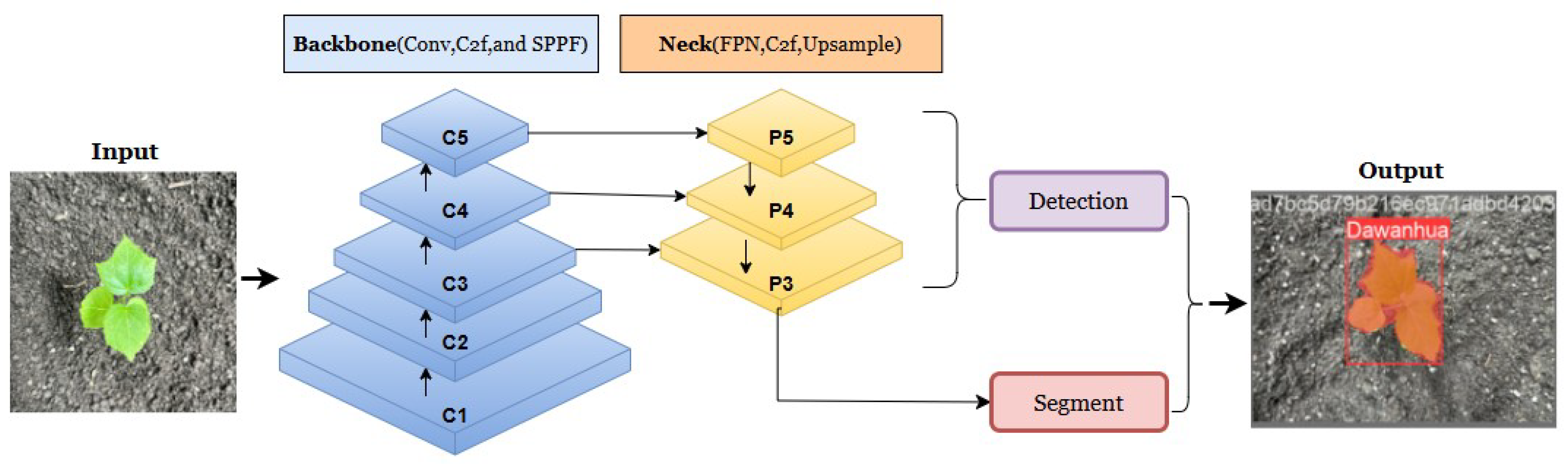 Agronomy 14 02121 g005