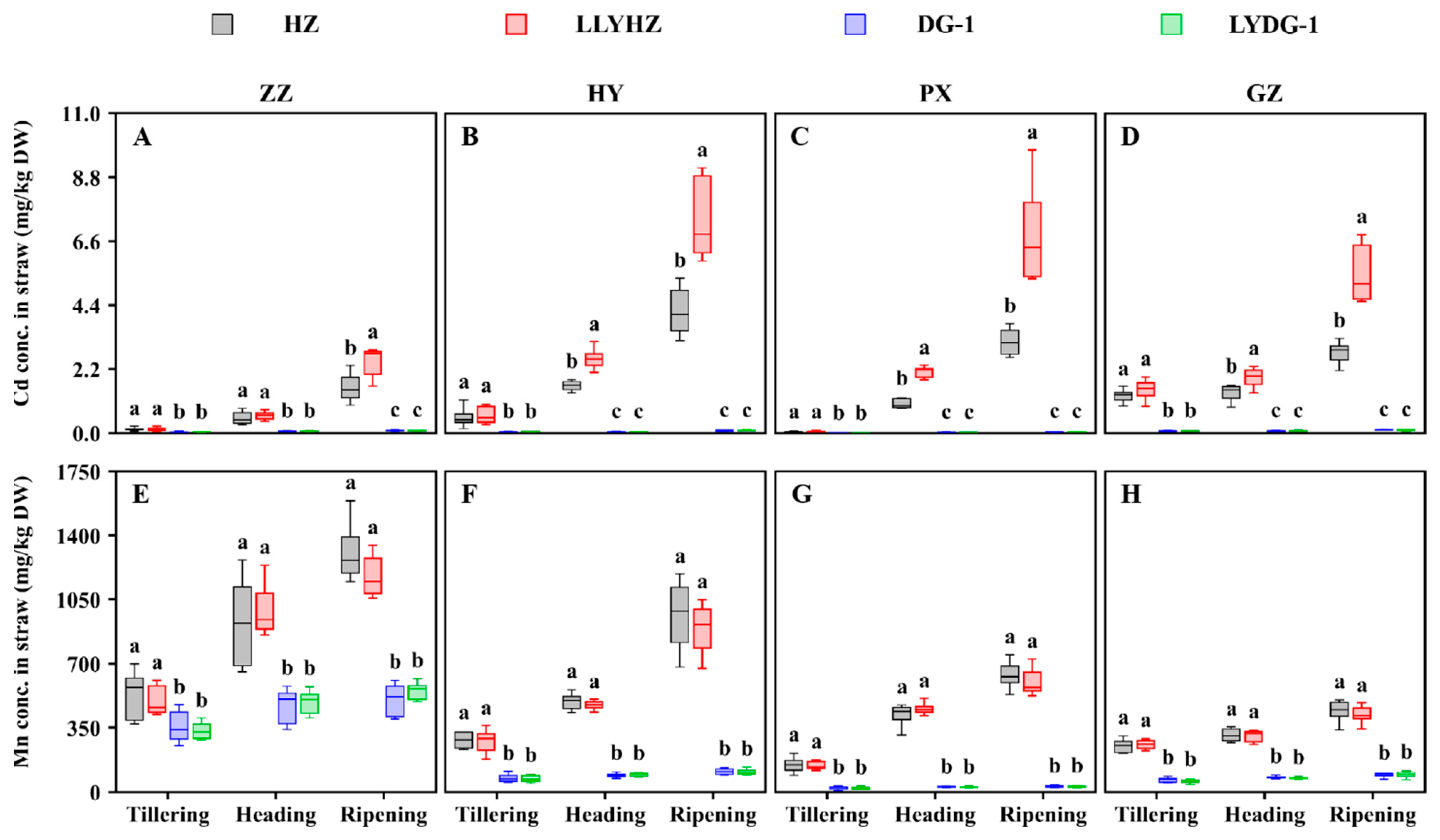 Agronomy 14 02129 g001