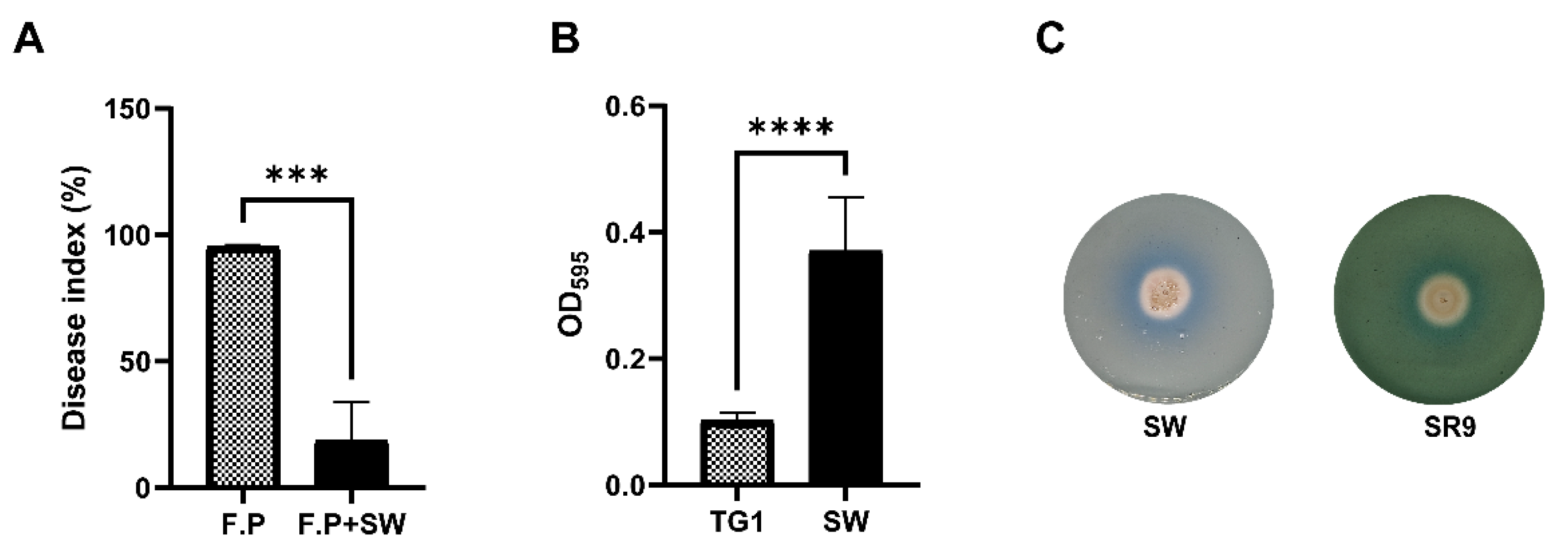 Agronomy 14 02135 g004