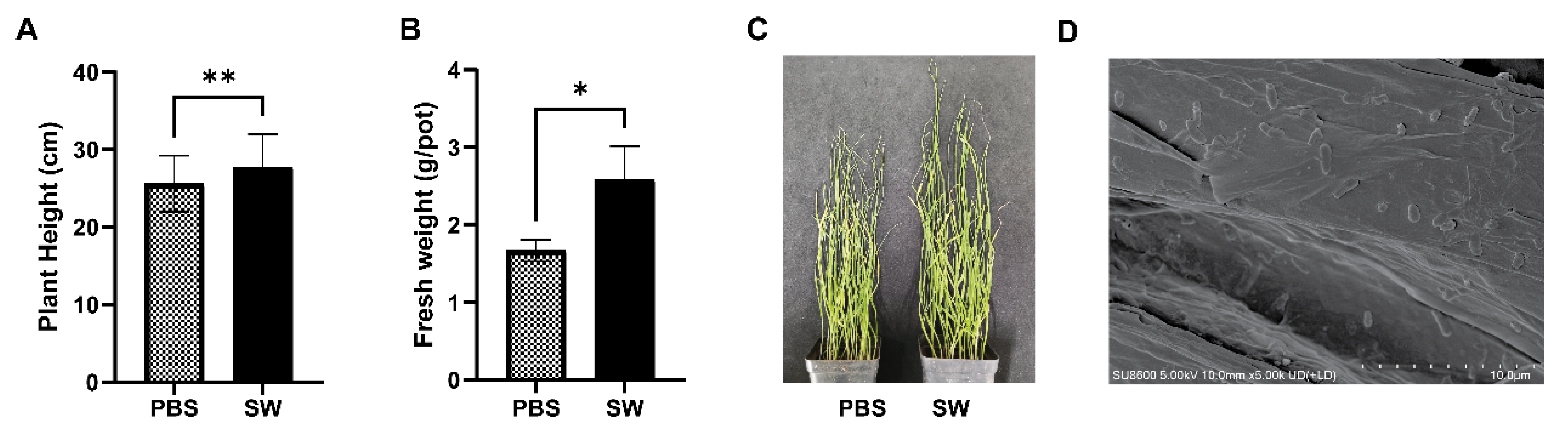 Agronomy 14 02135 g007