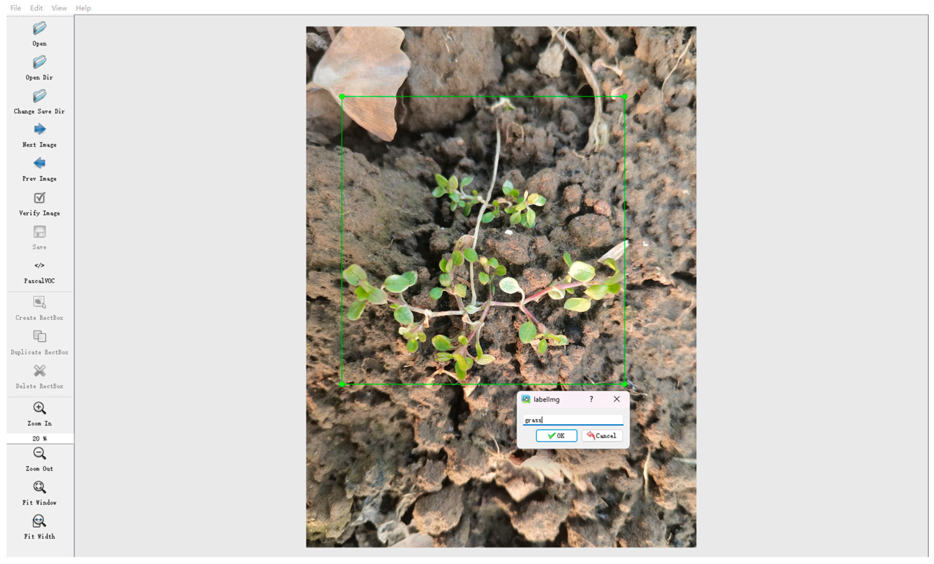 Agronomy 14 02141 g002