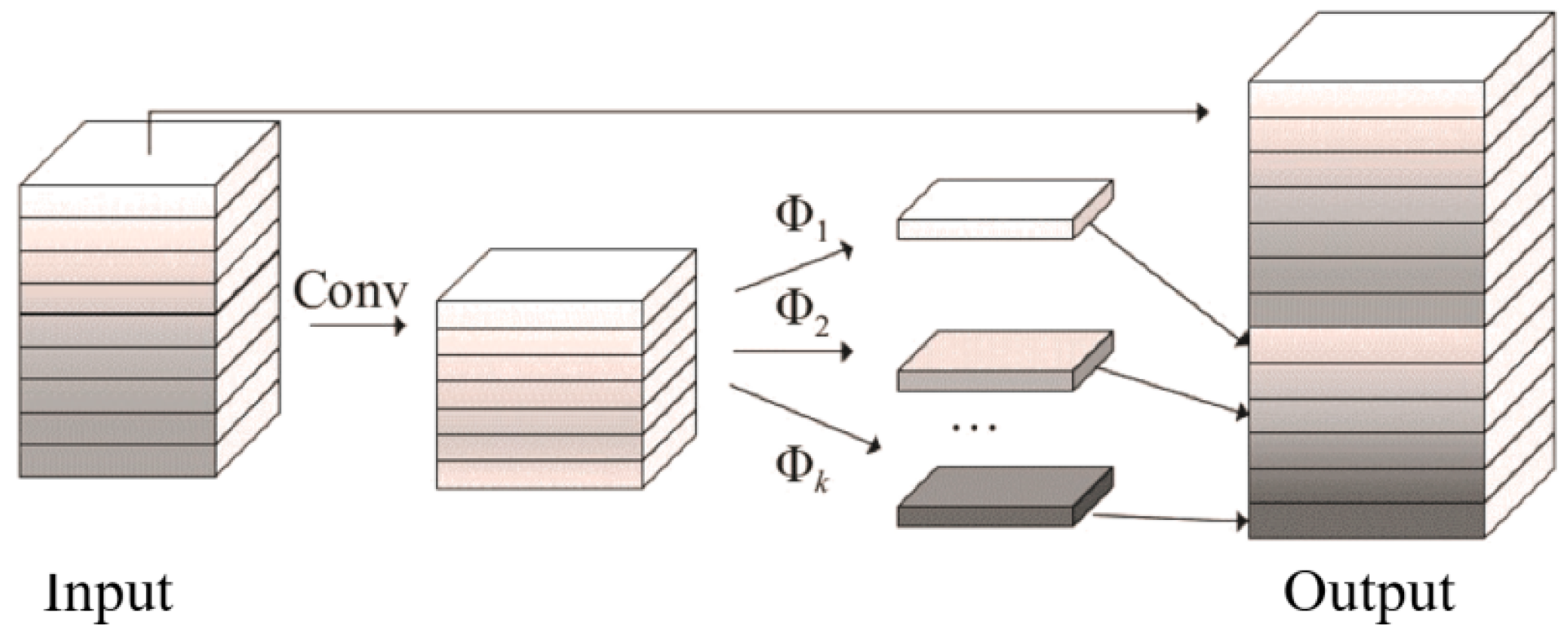 Agronomy 14 02141 g010