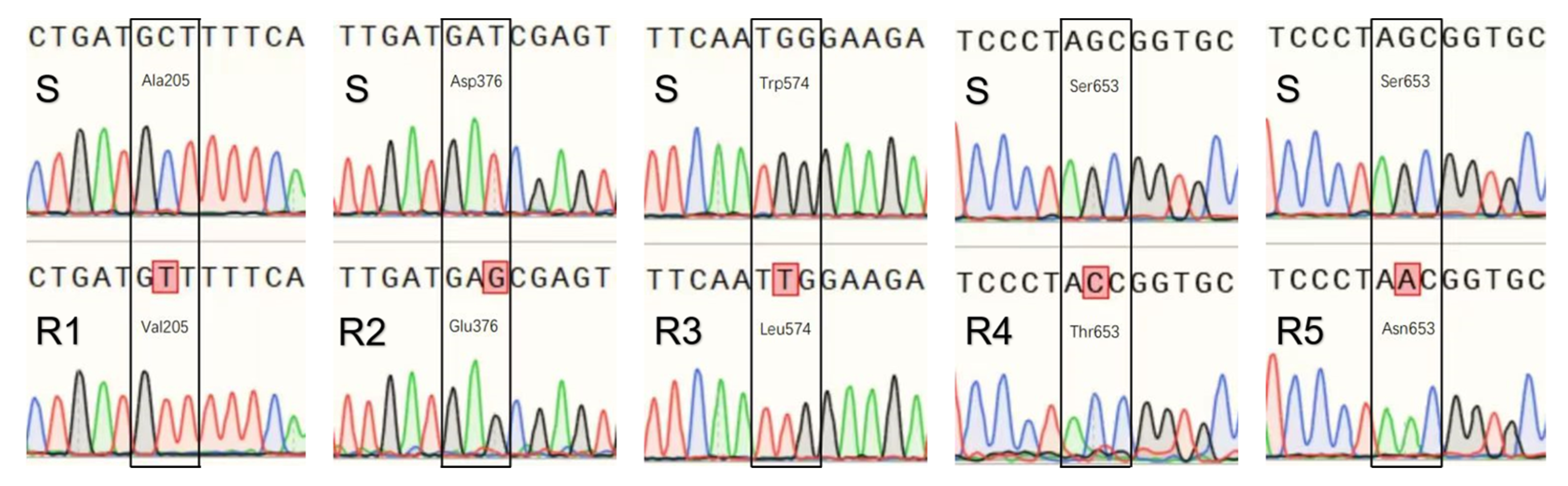 Agronomy 14 02148 g002