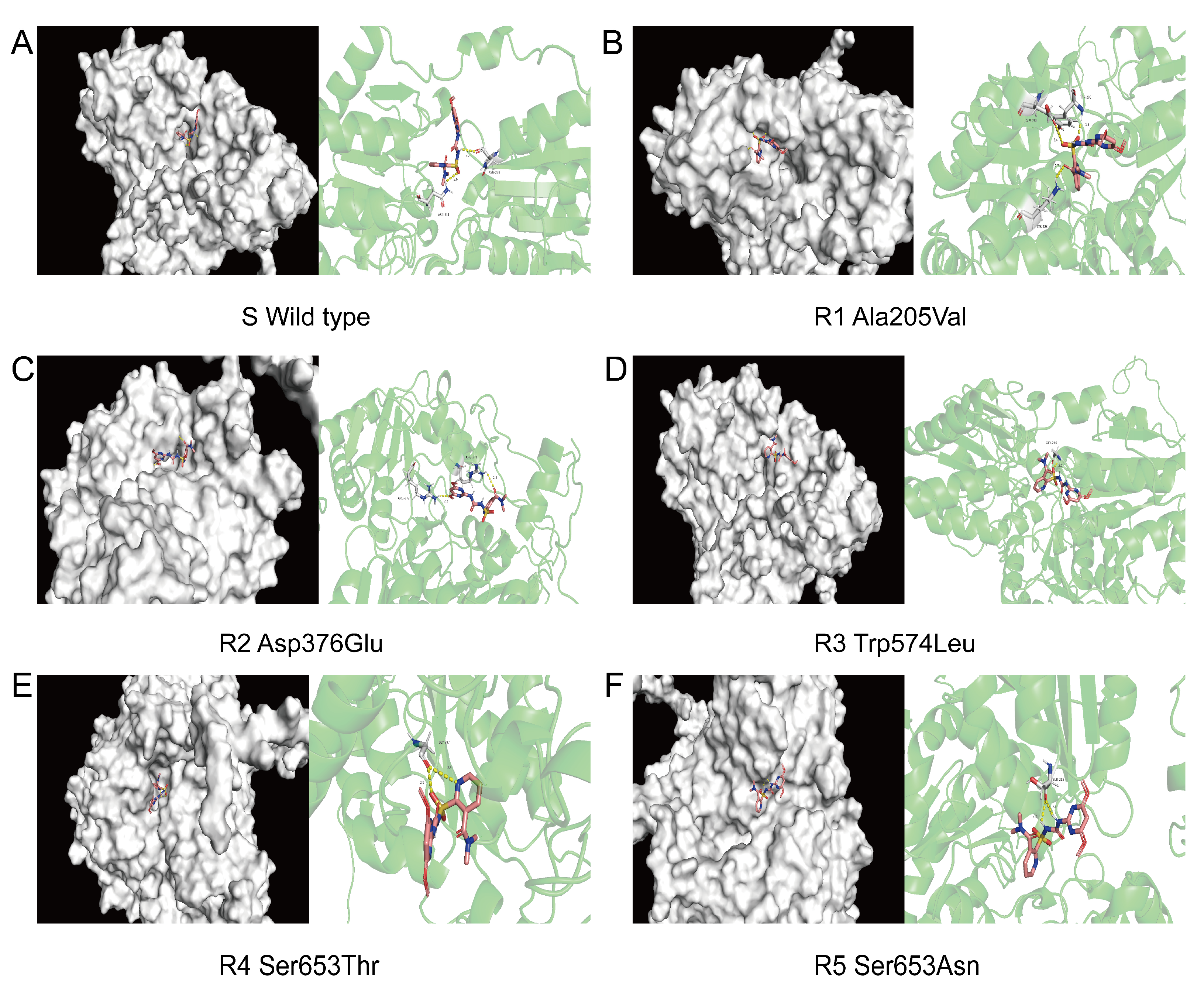 Agronomy 14 02148 g006