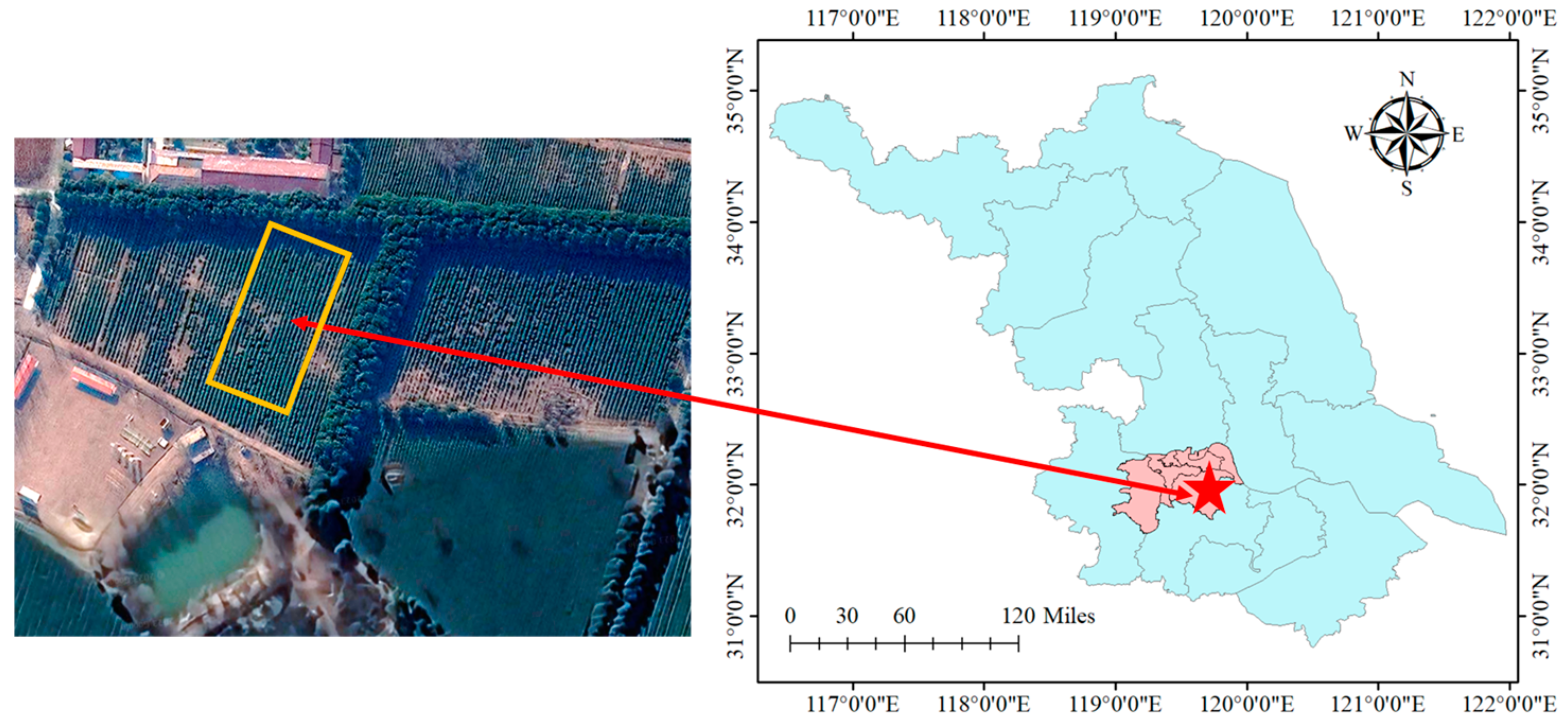 Agronomy 14 02154 g001
