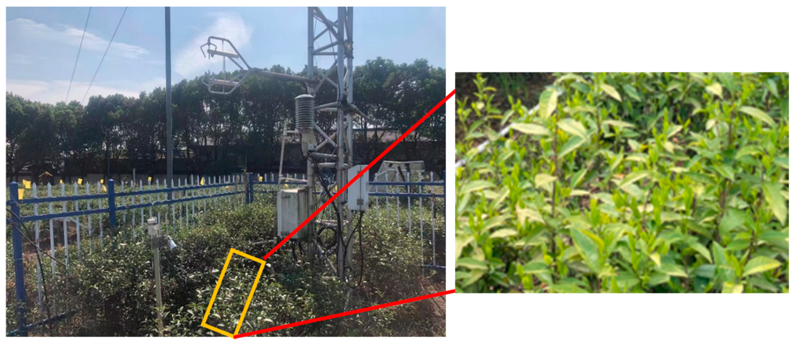 Agronomy 14 02154 g002