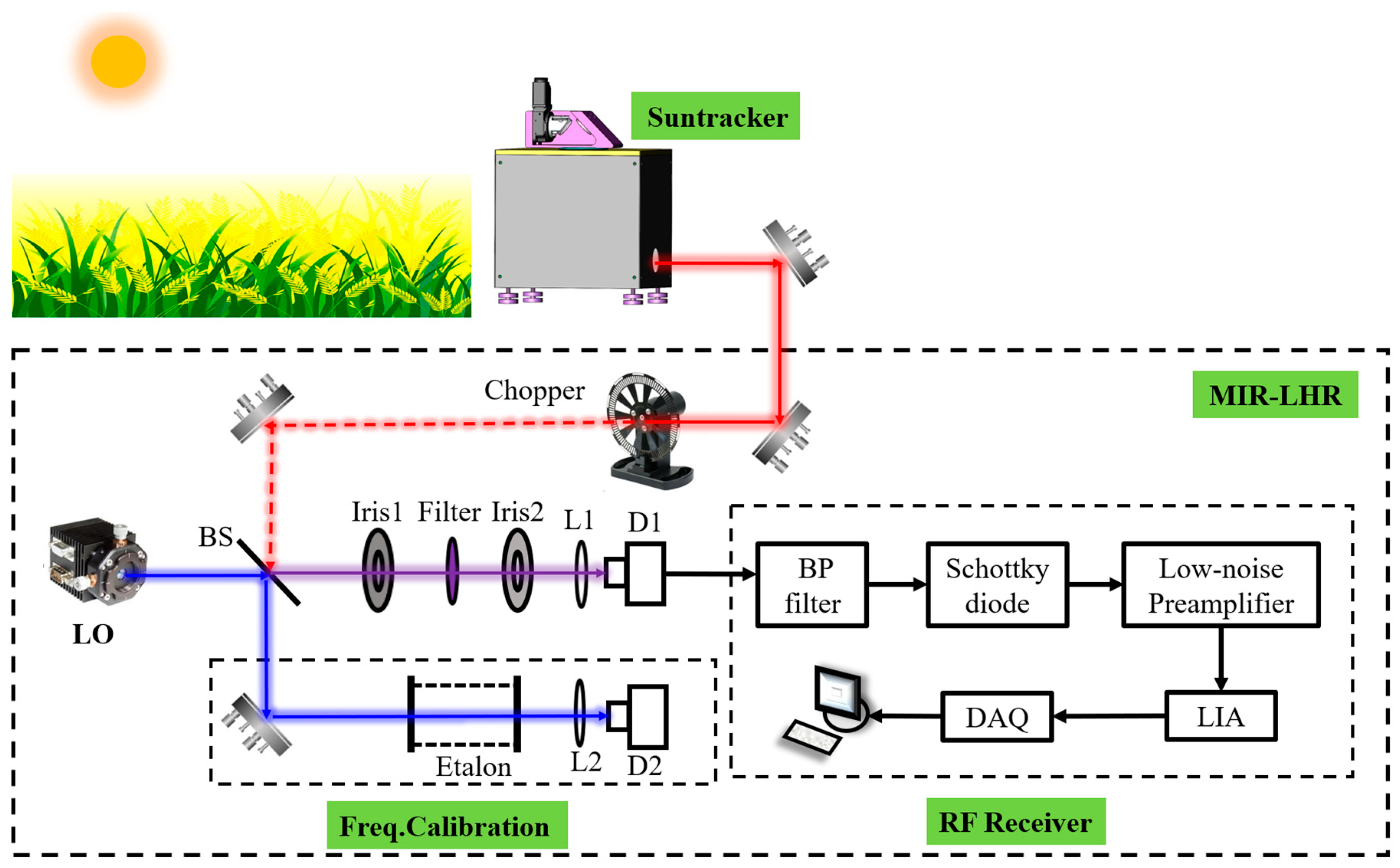 Medium-Term Monitoring of Greenhouse Gases above Rice-Wheat