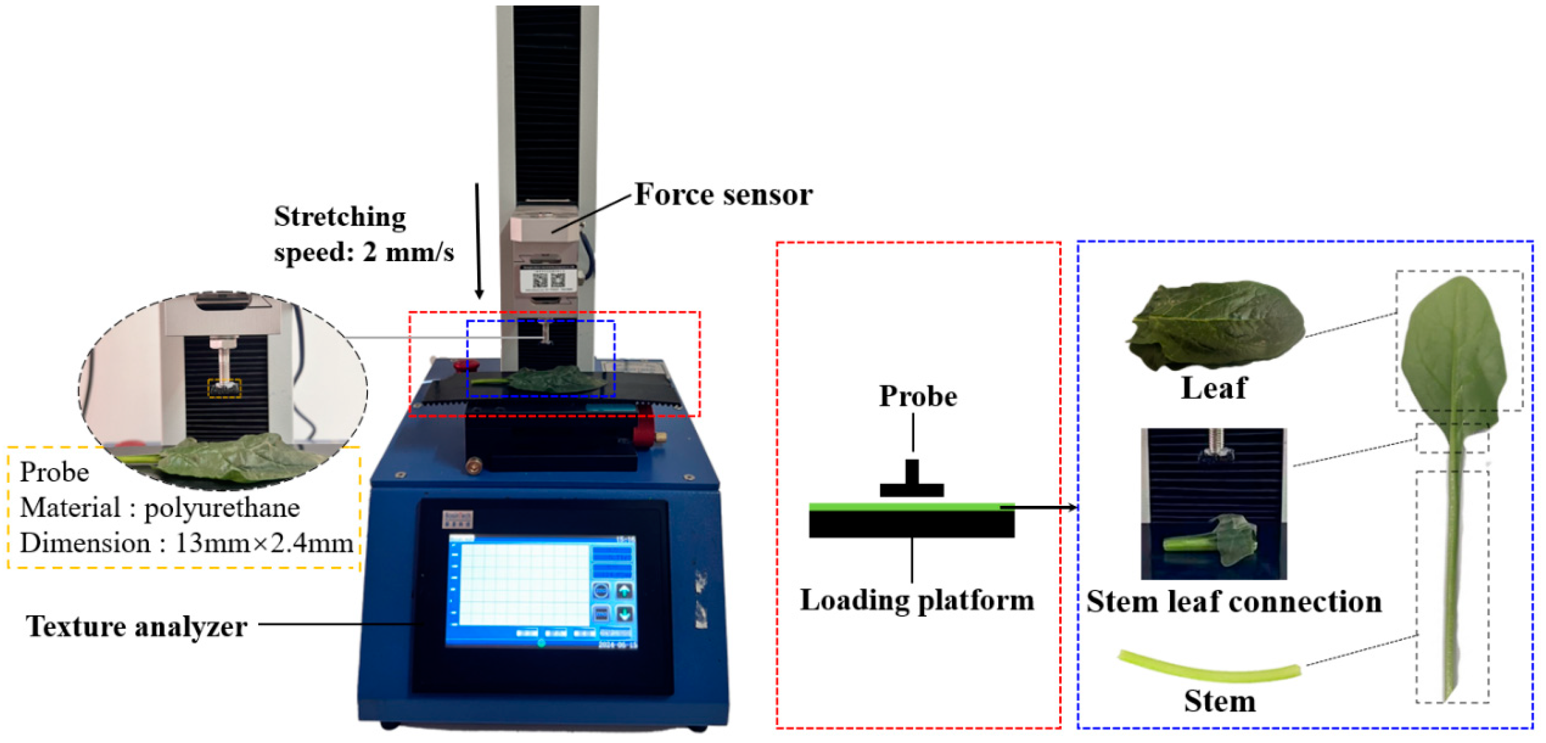 Agronomy 14 02164 g002