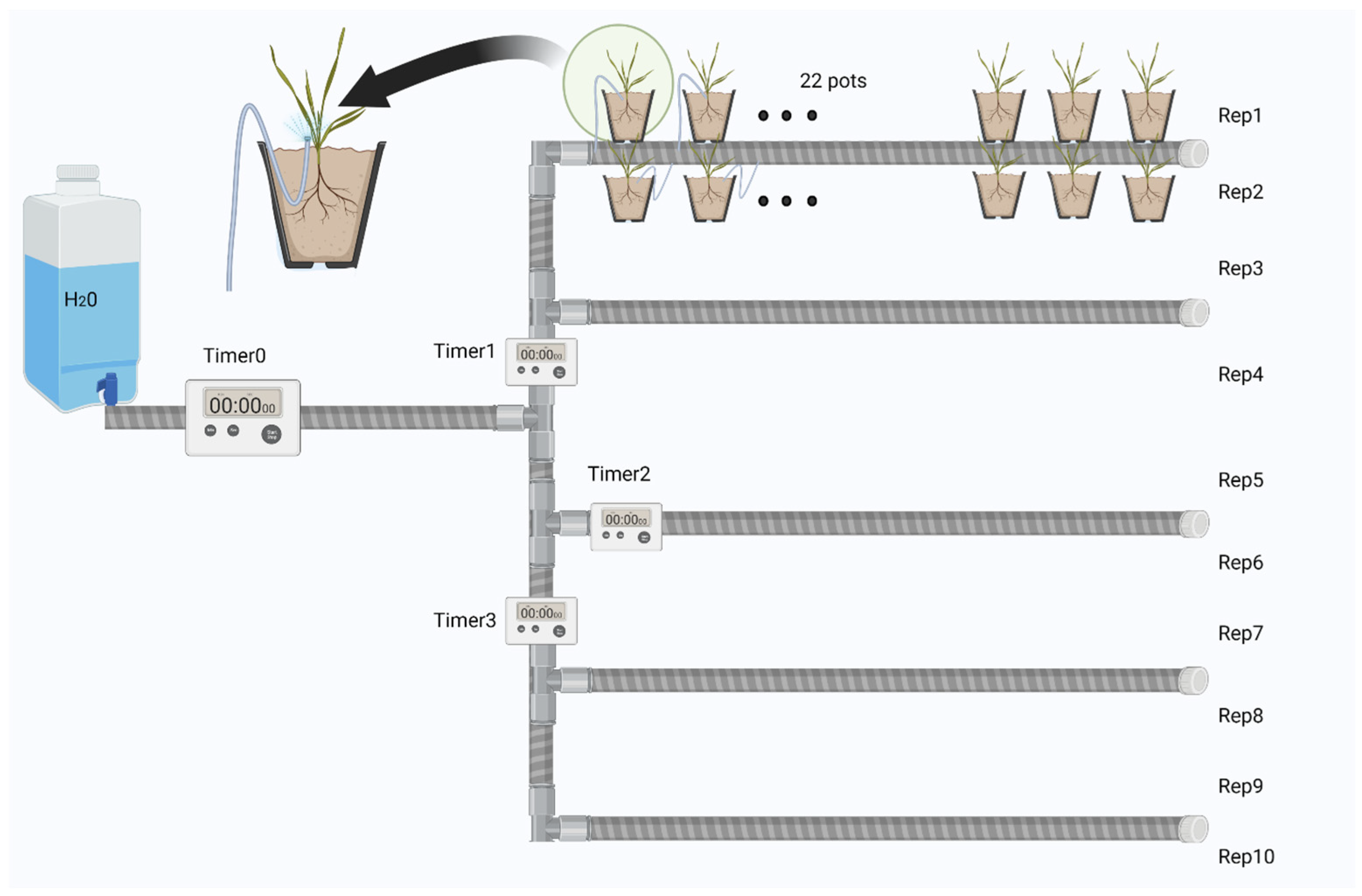 Agronomy 14 02172 g001