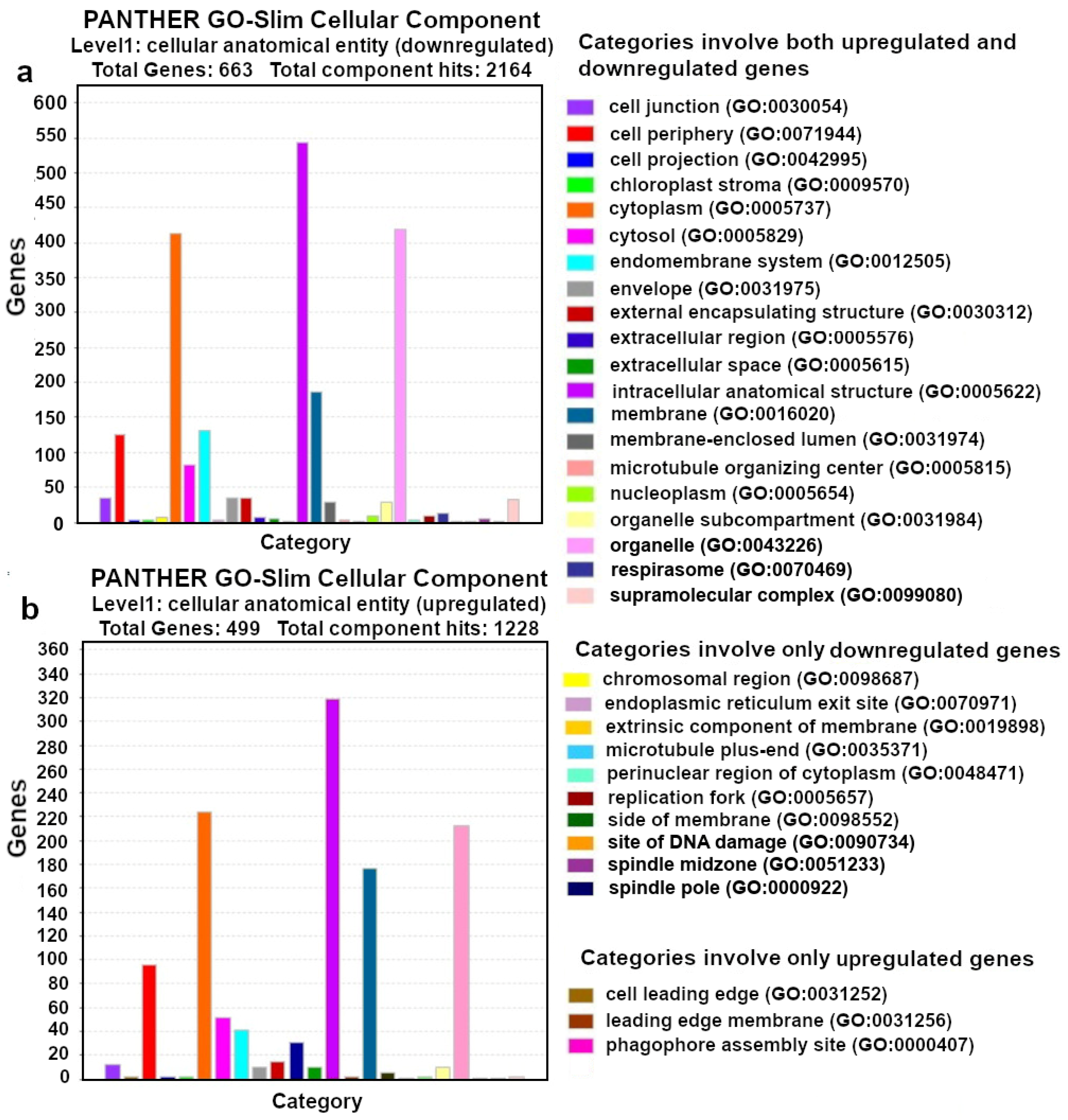 Agronomy 14 02172 g008
