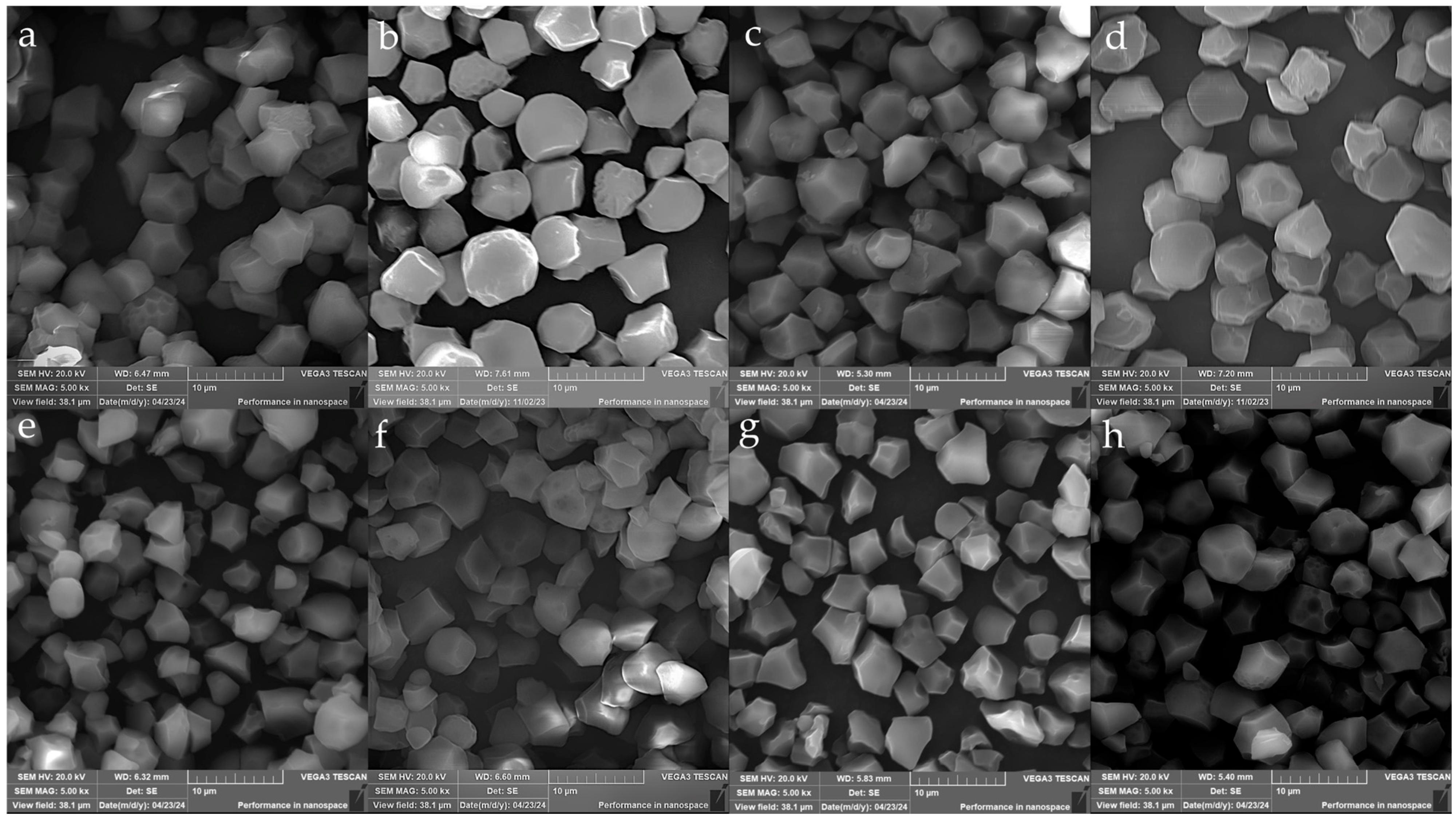 Agronomy 14 02178 g004