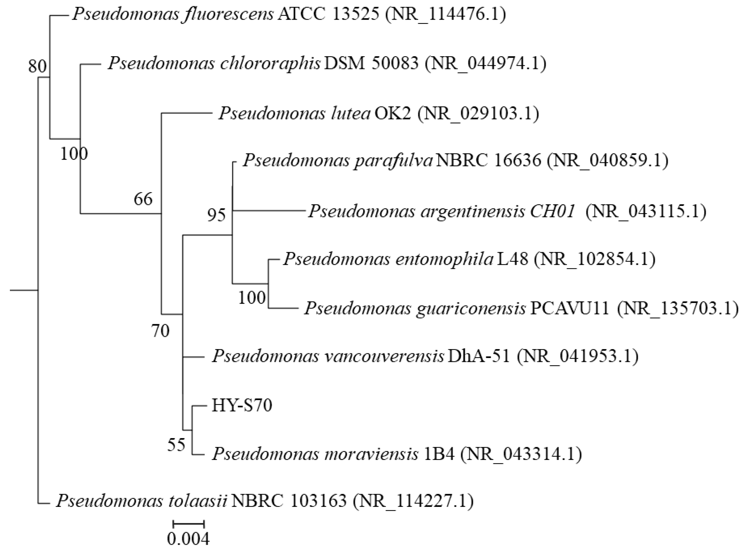 Agronomy 14 02179 g005