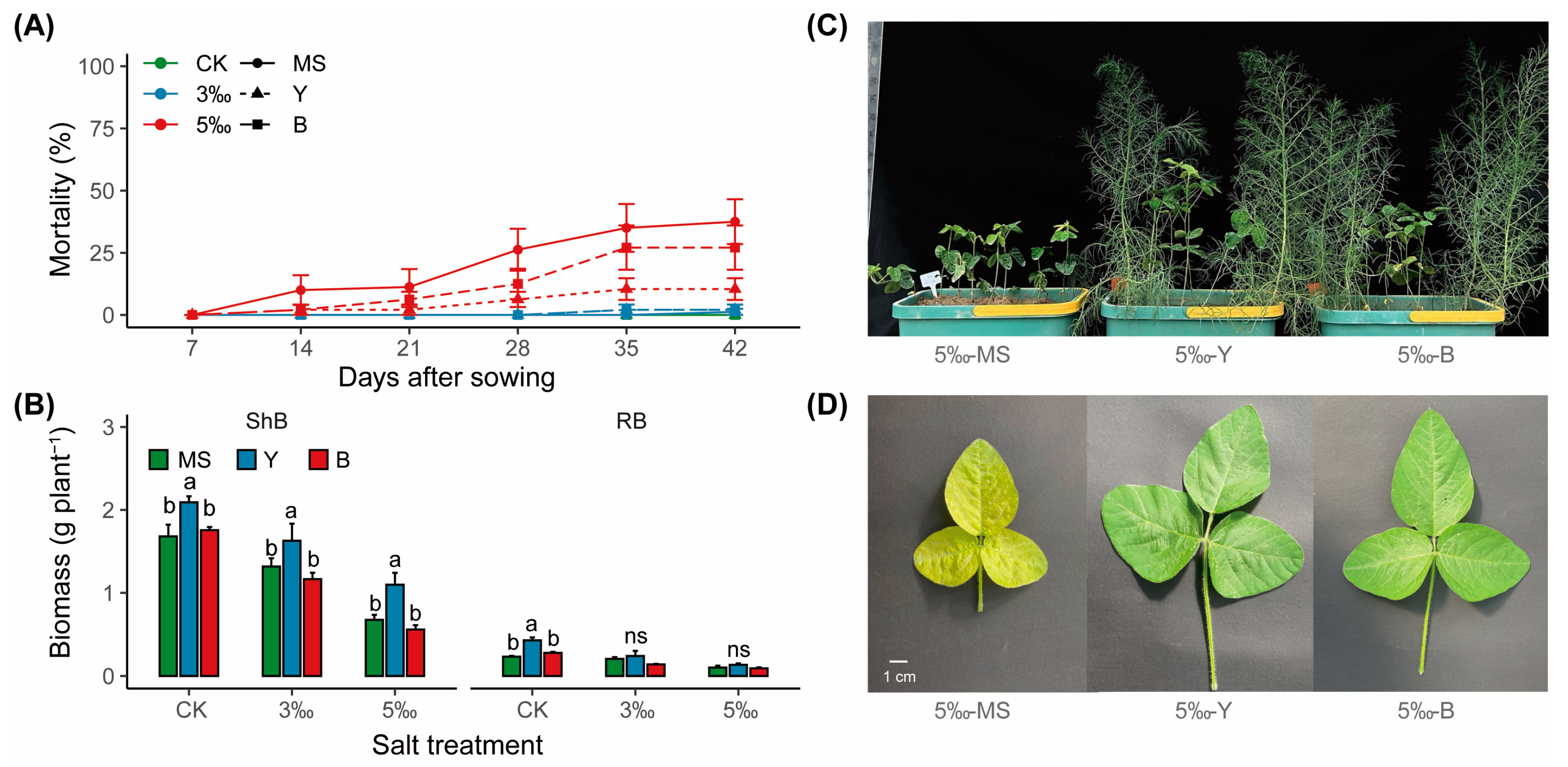 Agronomy 14 02181 g002