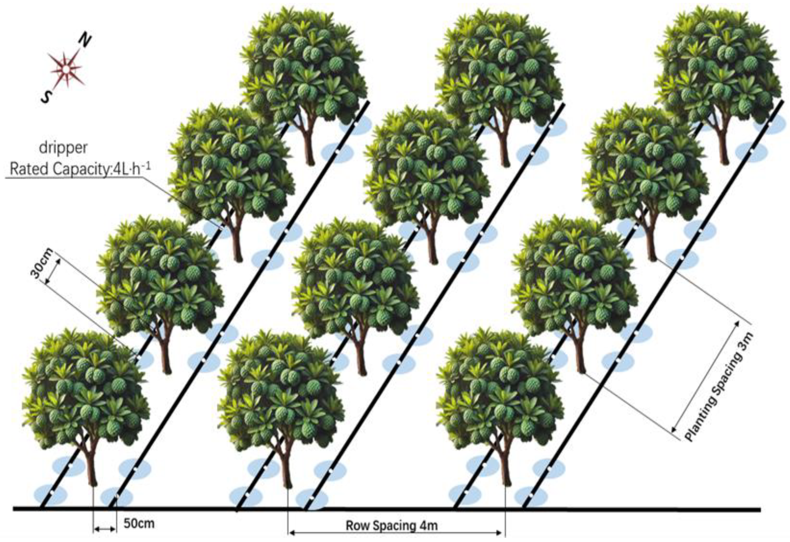 Agronomy 14 02189 g003