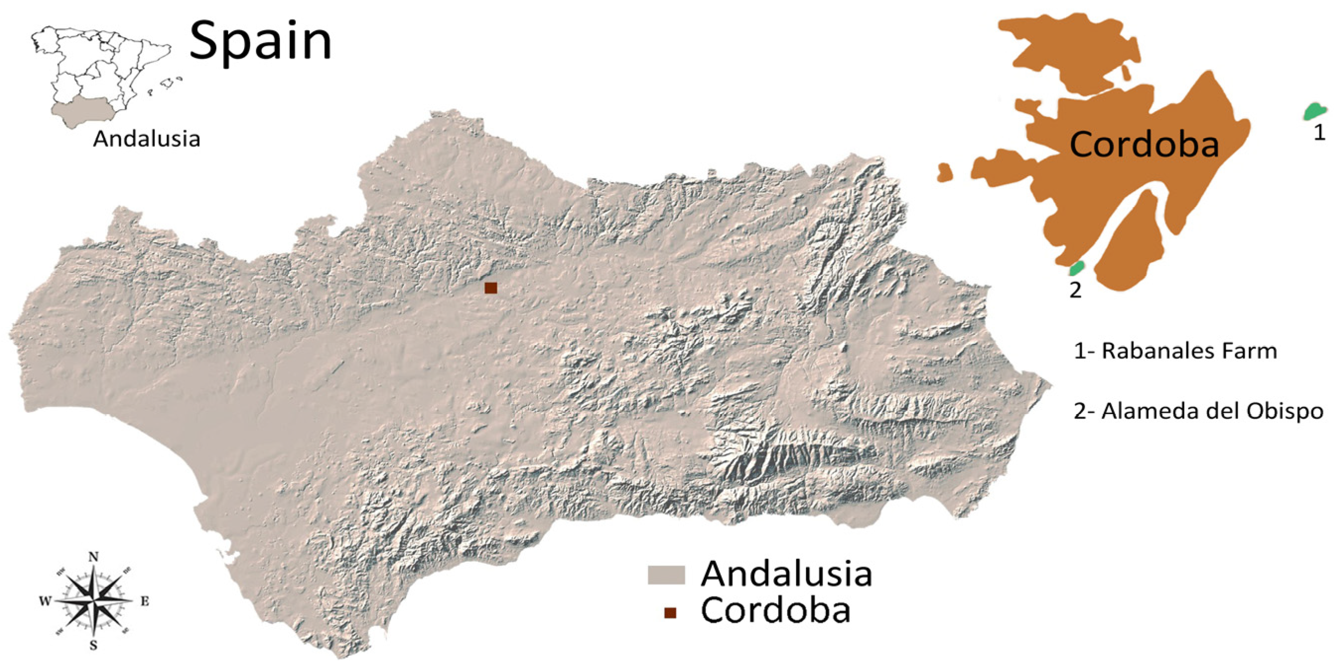 Agronomy 14 02192 g001