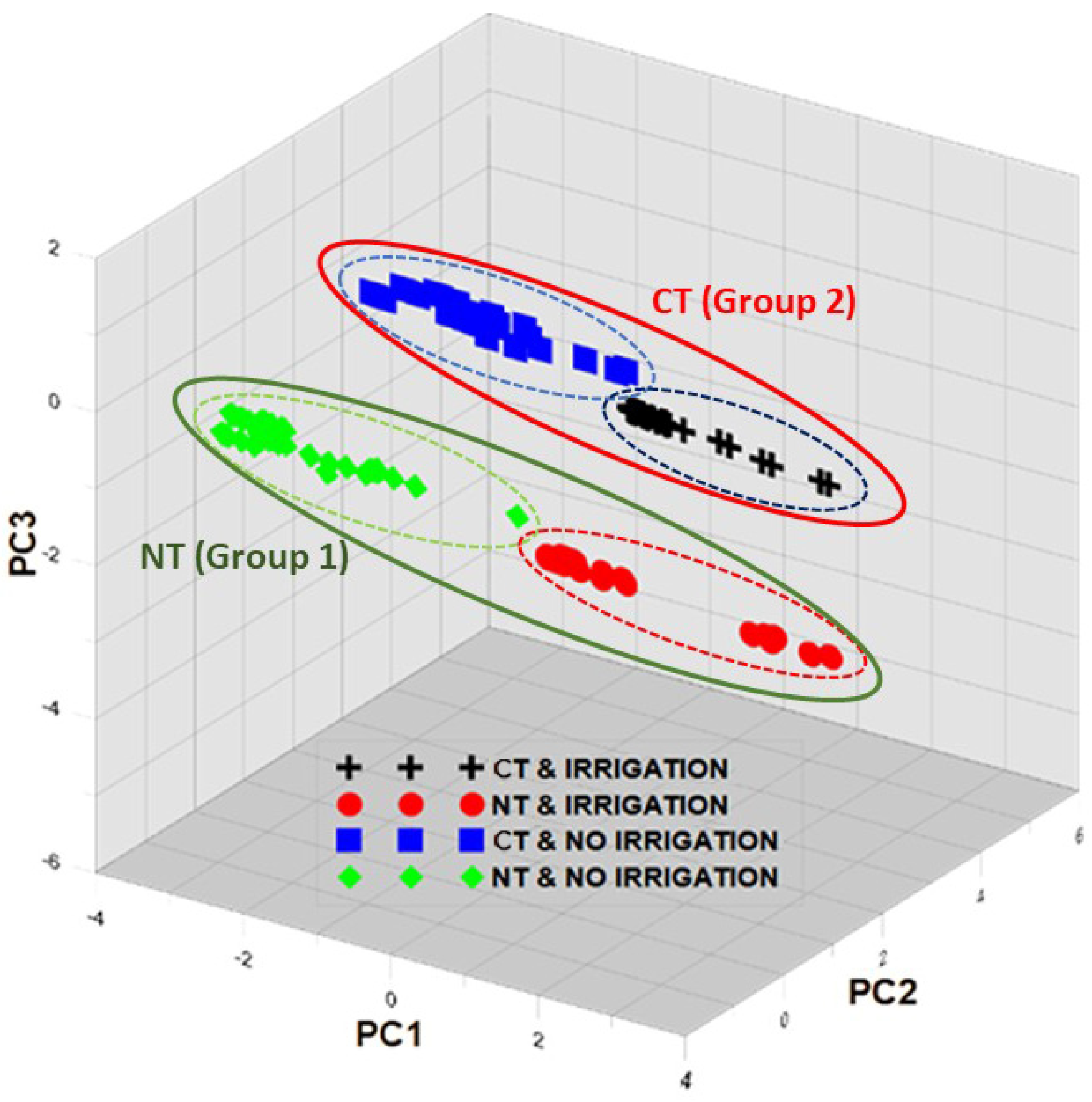 Agronomy 14 02192 g012